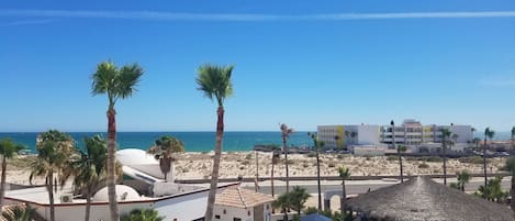 Un complex turístic amb piscina, palmeres i vistes a la platja i l'oceà.