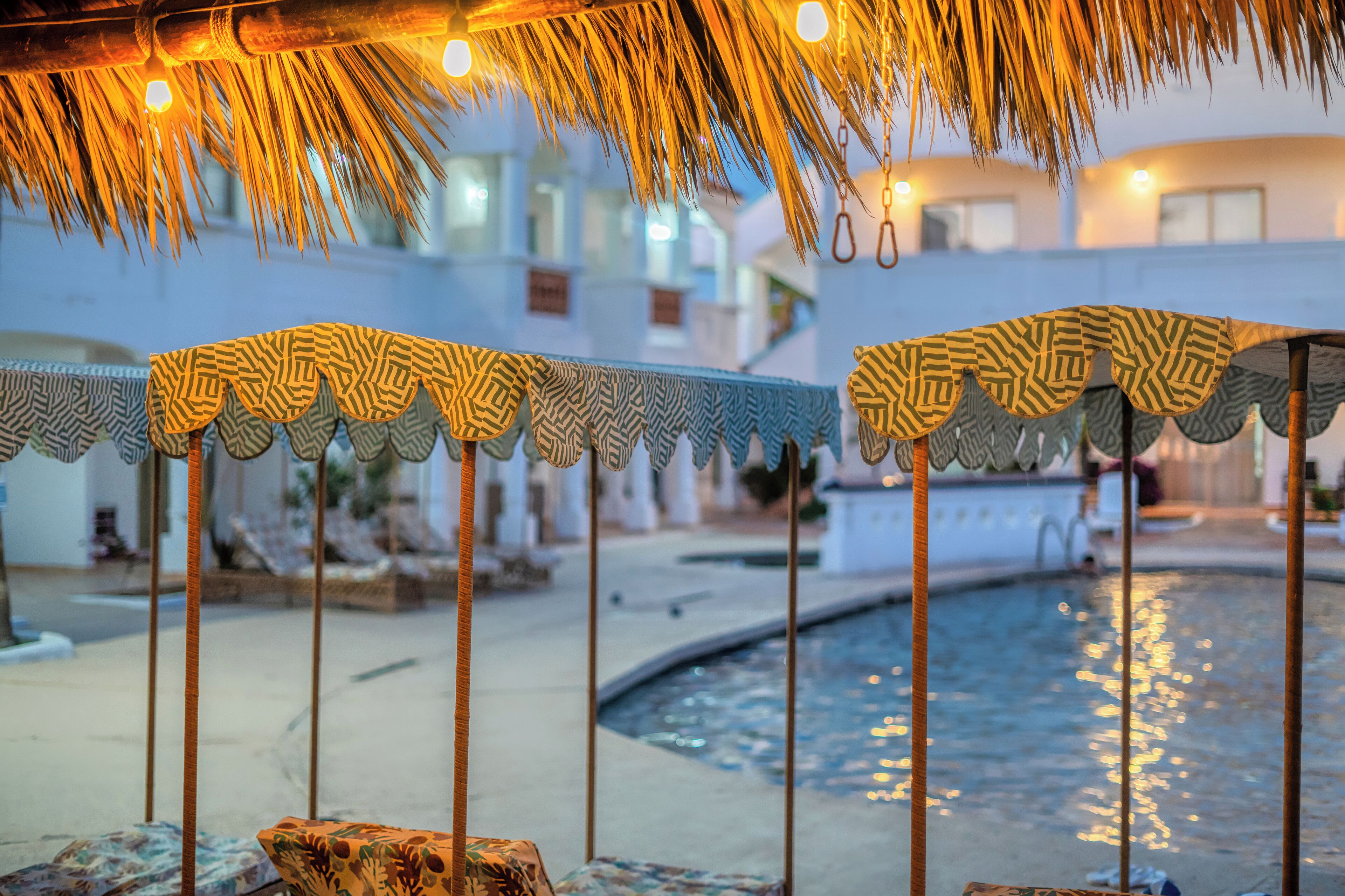 A poolside area with patterned umbrellas and a palm tree overhead.