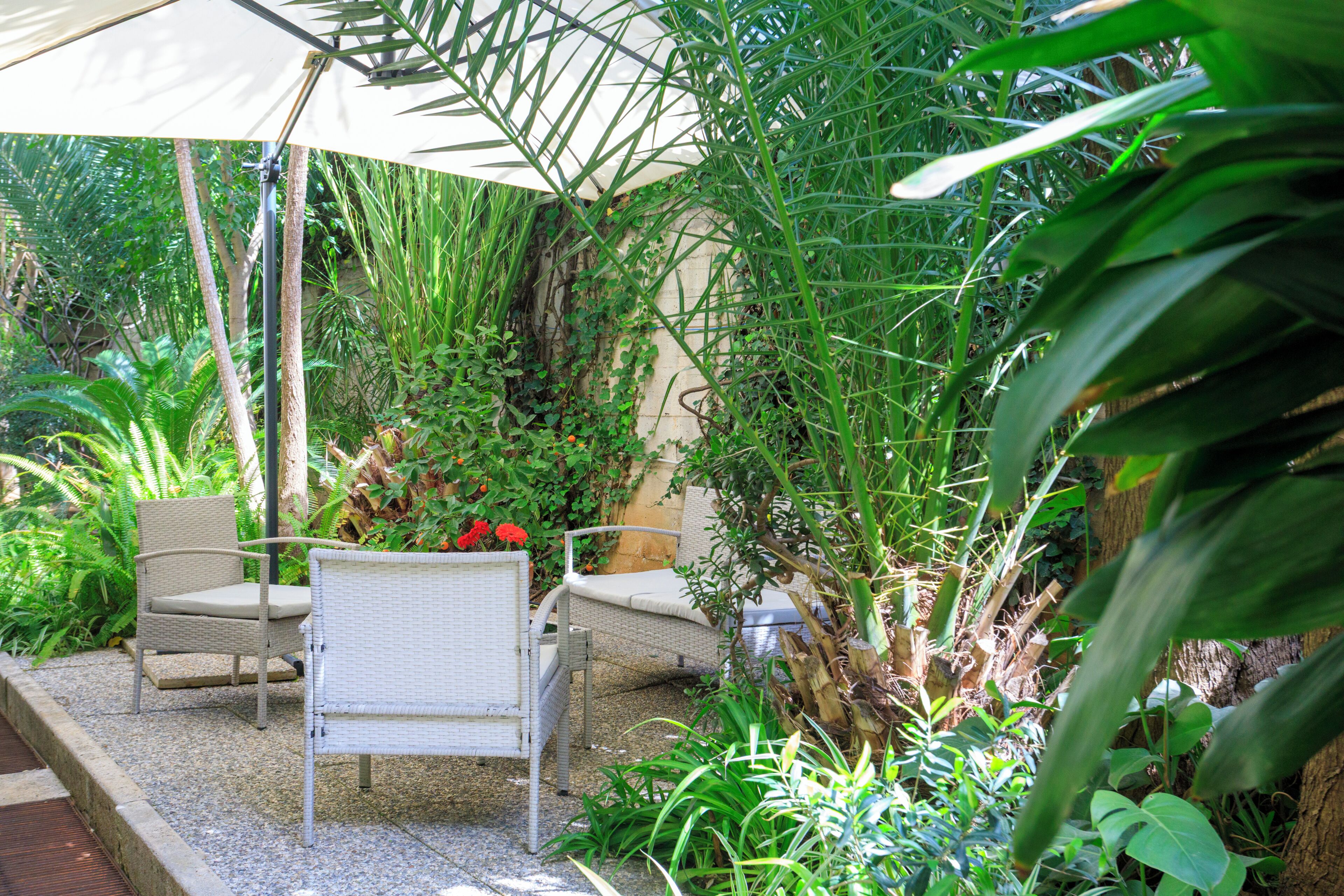 An outdoor seating area with wicker chairs and a table under a large umbrella, surrounded by lush greenery and plants.