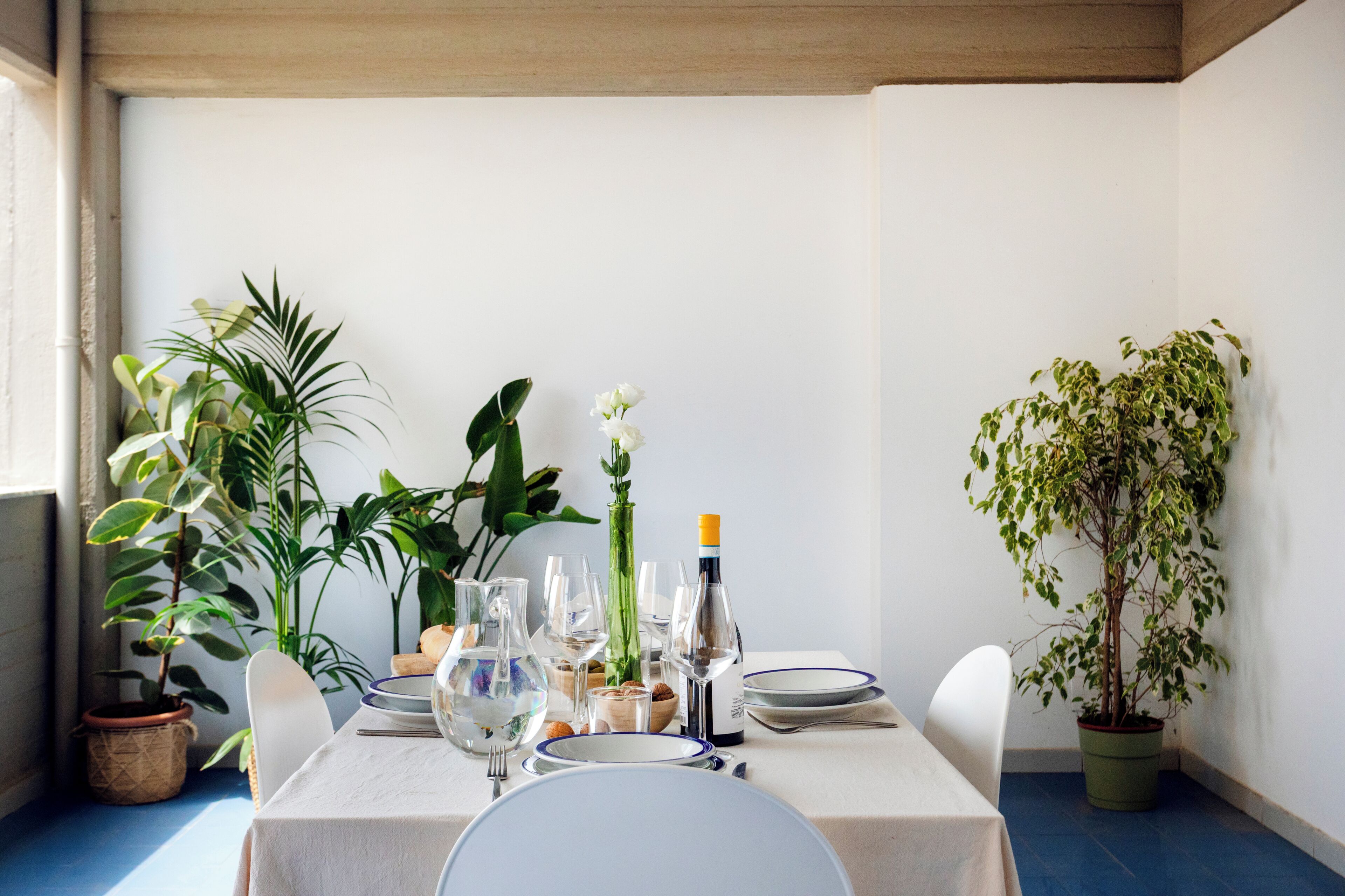 Ein Esstisch mit Geschirr, Gläsern und einer Flasche, umgeben von Topfpflanzen.