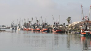 A harbor with multiple fishing boats docked, a crane, and a building with a dome-like structure in the background.