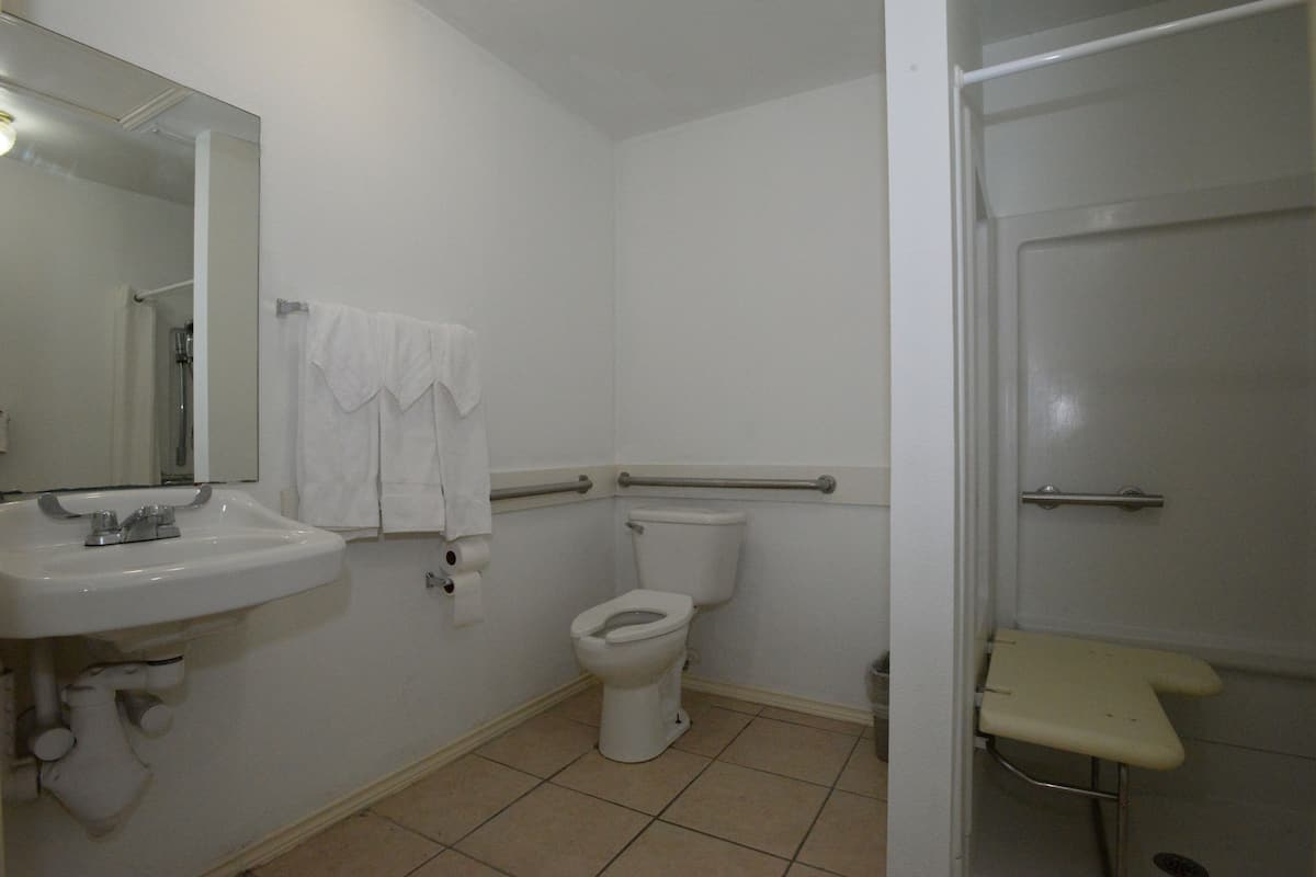 Combined shower/bathtub, free toiletries, hair dryer, towels