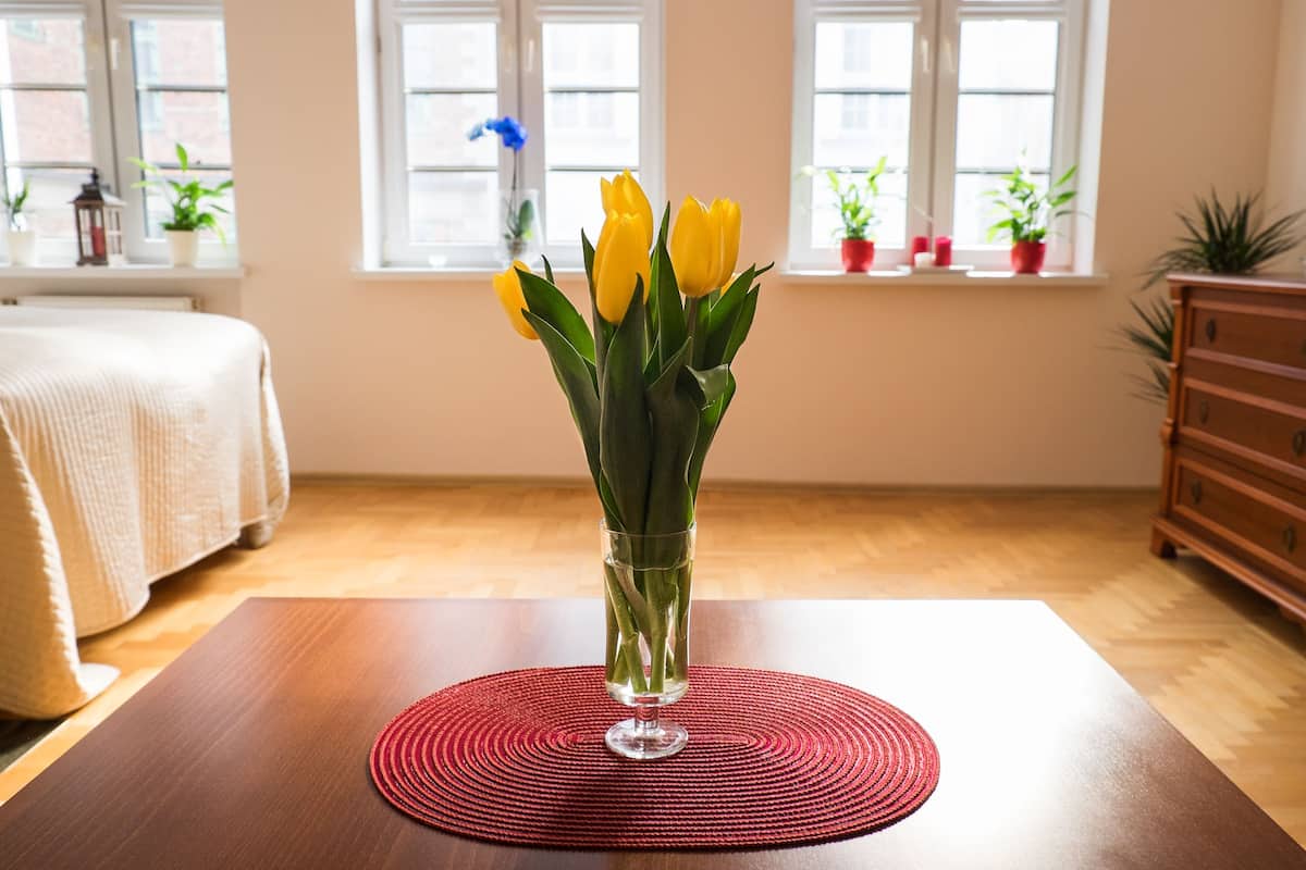Appartement, coin cuisine (VNS - Mariacka Street)