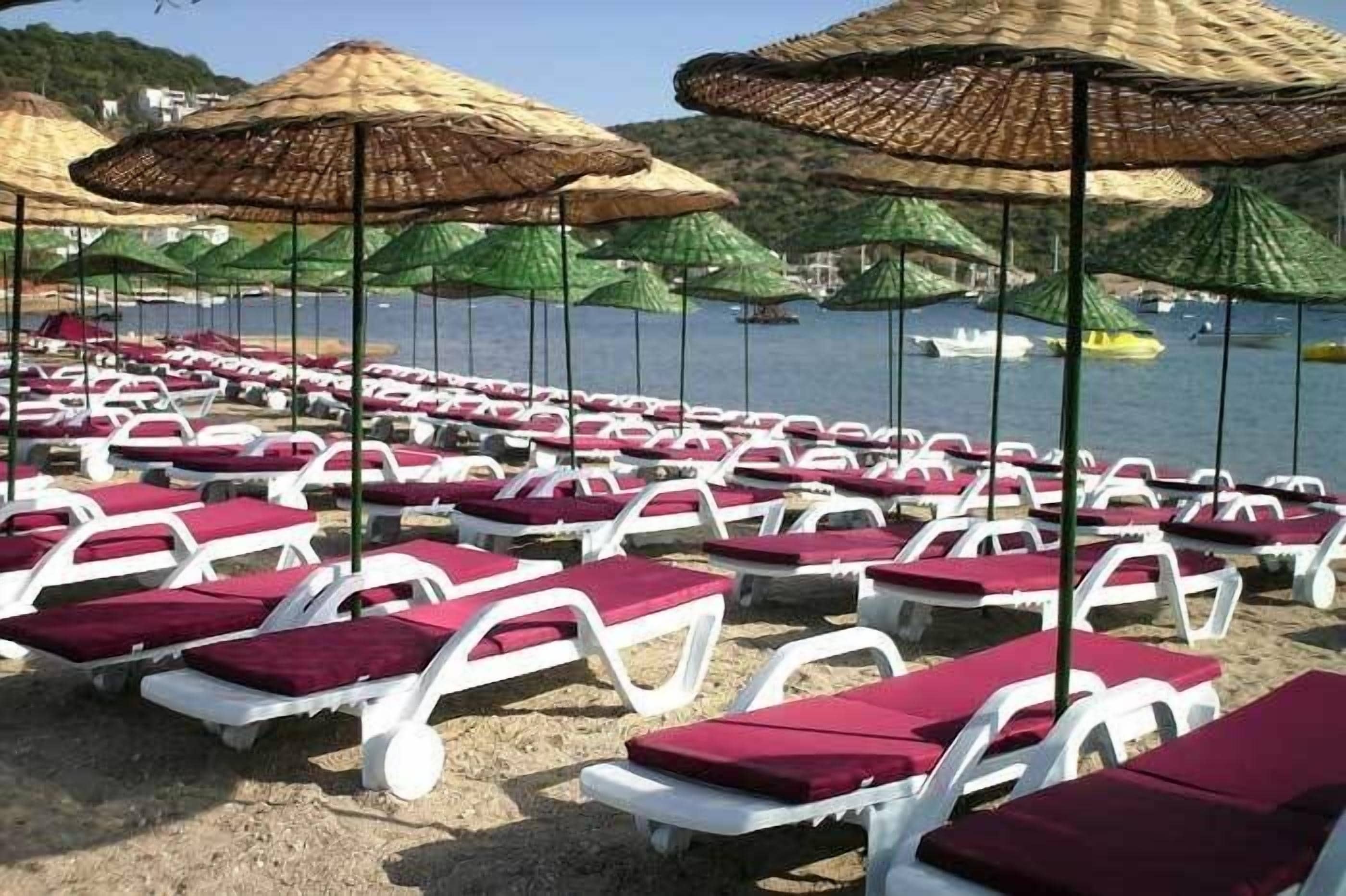 De longues rangées de chaises longues blanches, agrémentées de coussins rouges, sont disposées sur une plage de sable, et des parasols en feuilles de palmier offrent de l’ombre.
