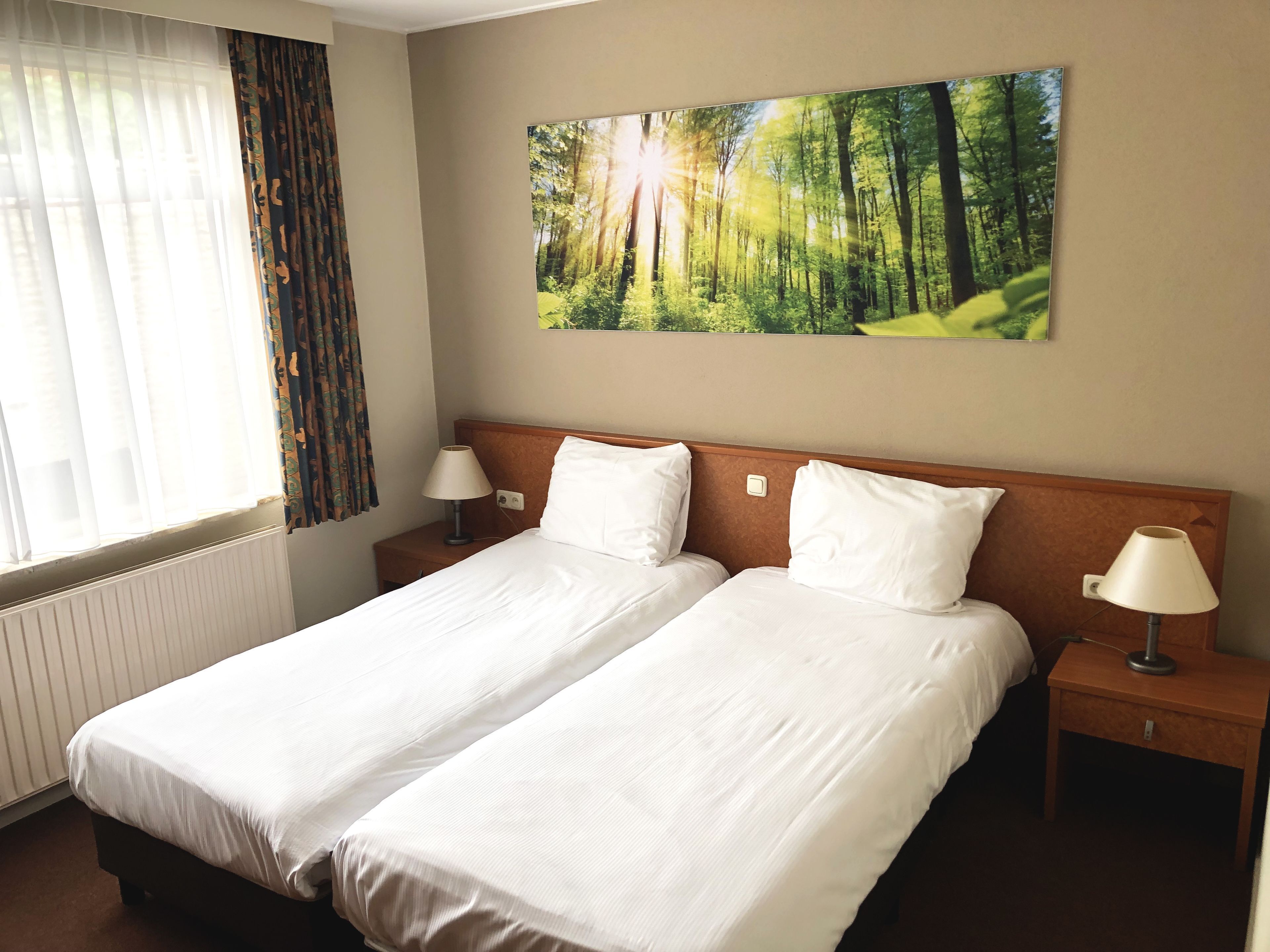 Desk, free WiFi, bed sheets