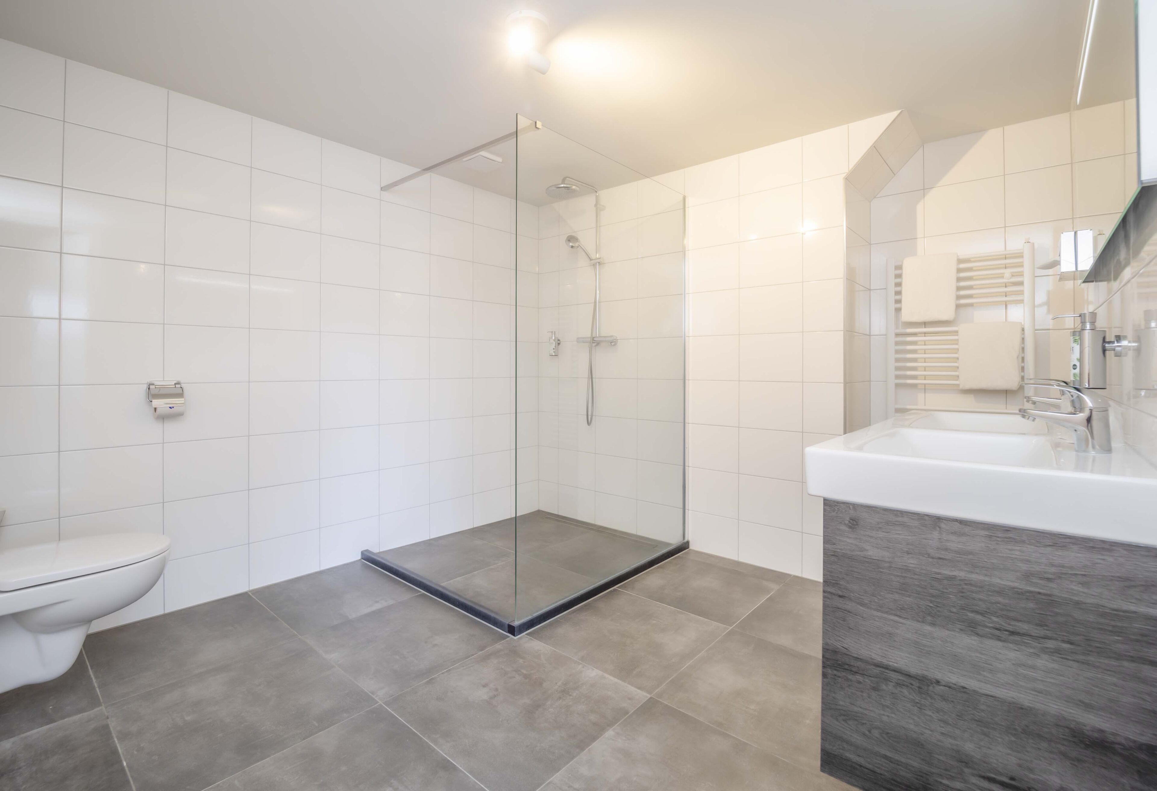 A modern bathroom with a glass-enclosed shower, a white toilet, and a vanity with a mirror.