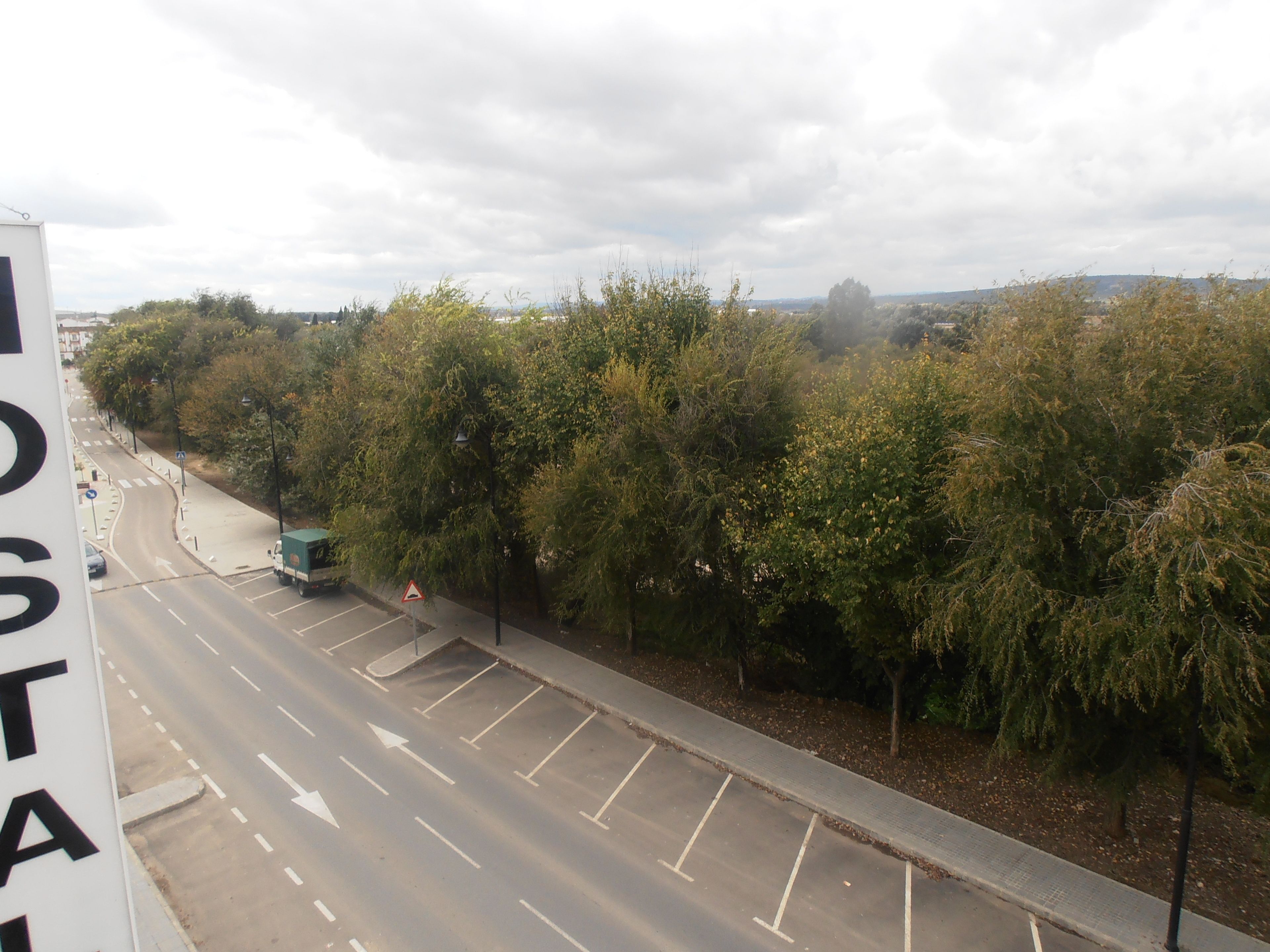 A road with a pedestrian walkway alongside trees.