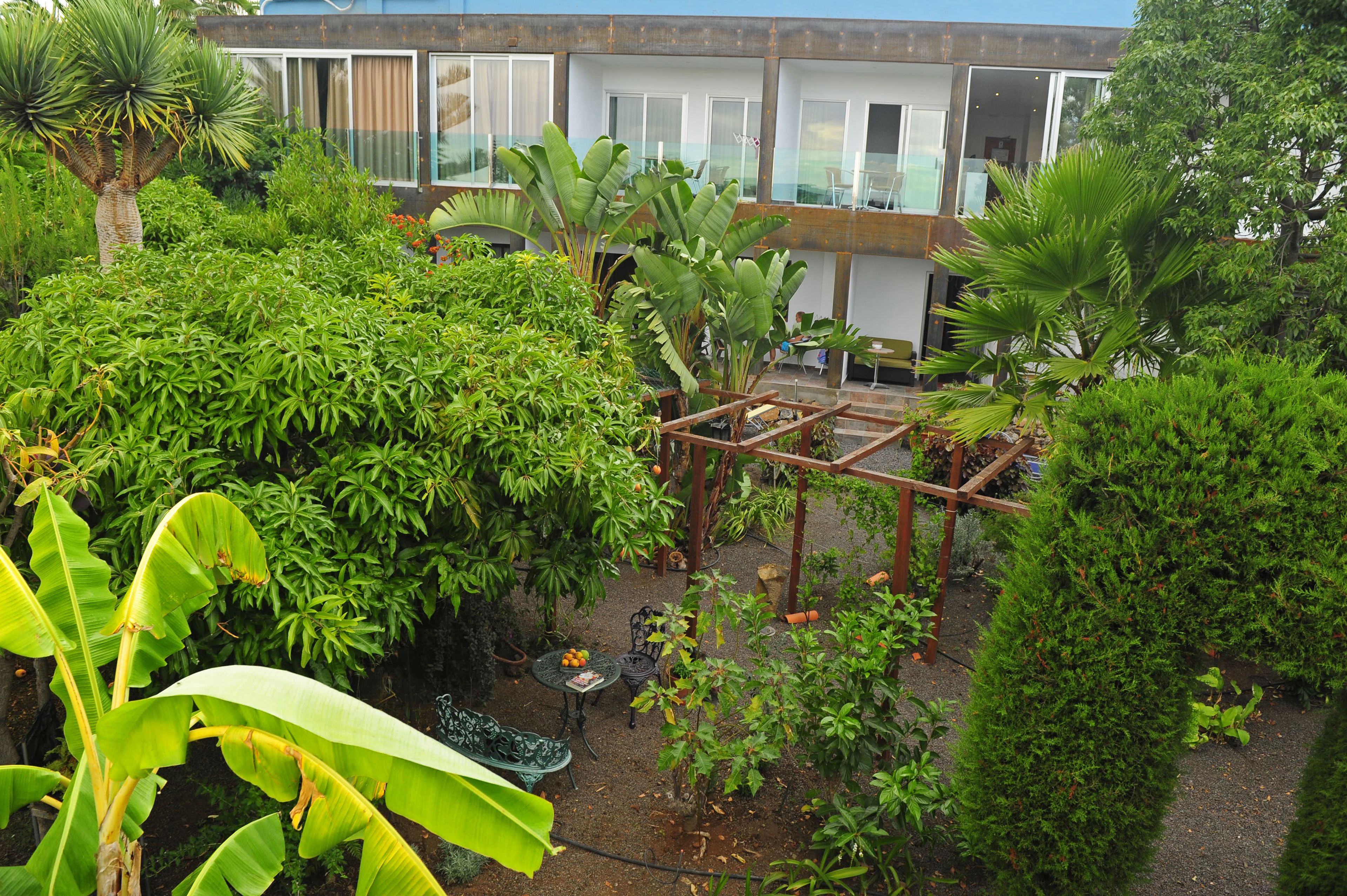 Foto - Apartamentos Adjovimar