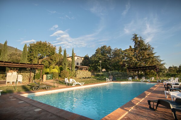 Seasonal outdoor pool, open 8 AM to 9 PM, pool umbrellas, pool loungers