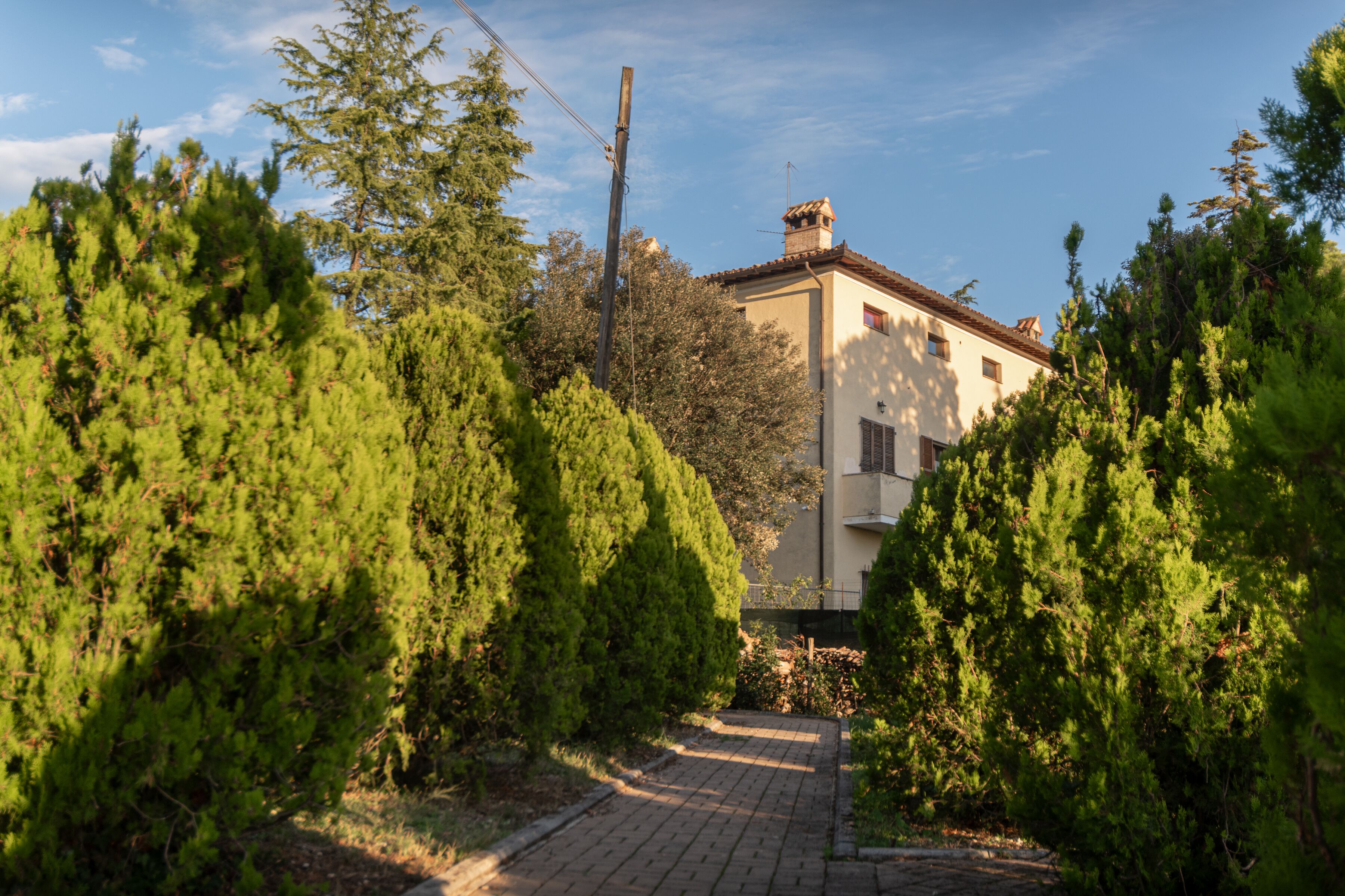 Un chemin menant à un bâtiment entouré d’une végétation luxuriante.