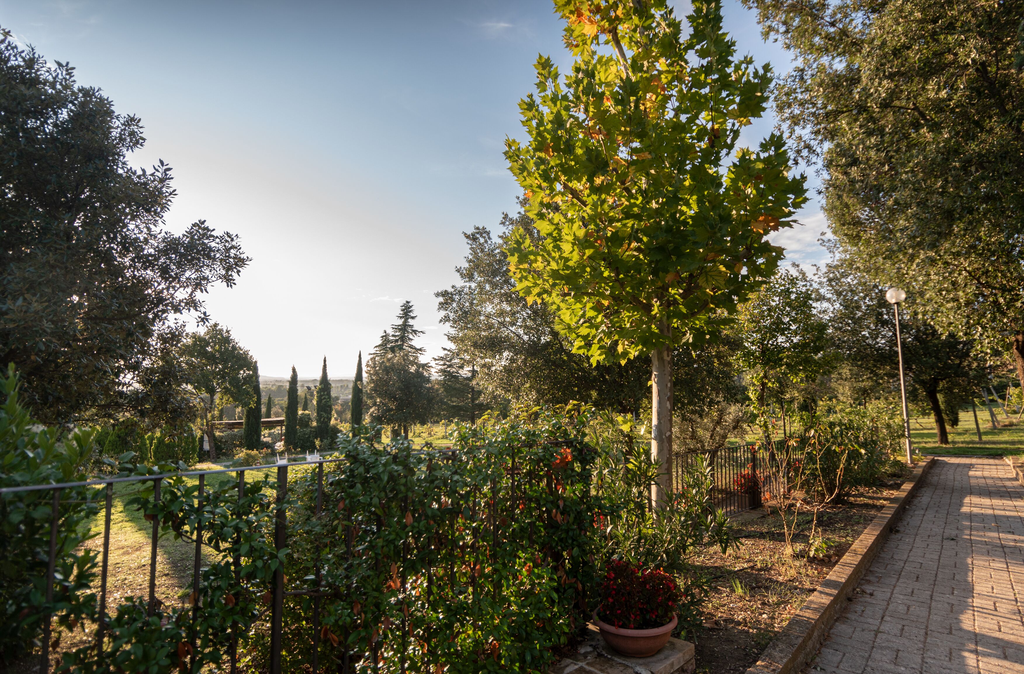 Un sendero en un jardín con diversas plantas y árboles, un camino de ladrillo y una valla de metal.