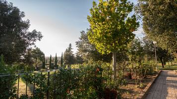 Un sendero en un jardín con diversas plantas y árboles, un camino de ladrillo y una valla de metal.