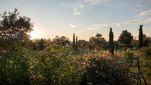 A garden with various plants and trees, a fence, and a clear sky. - Agriturismo Sasso Rosso (Assisi)