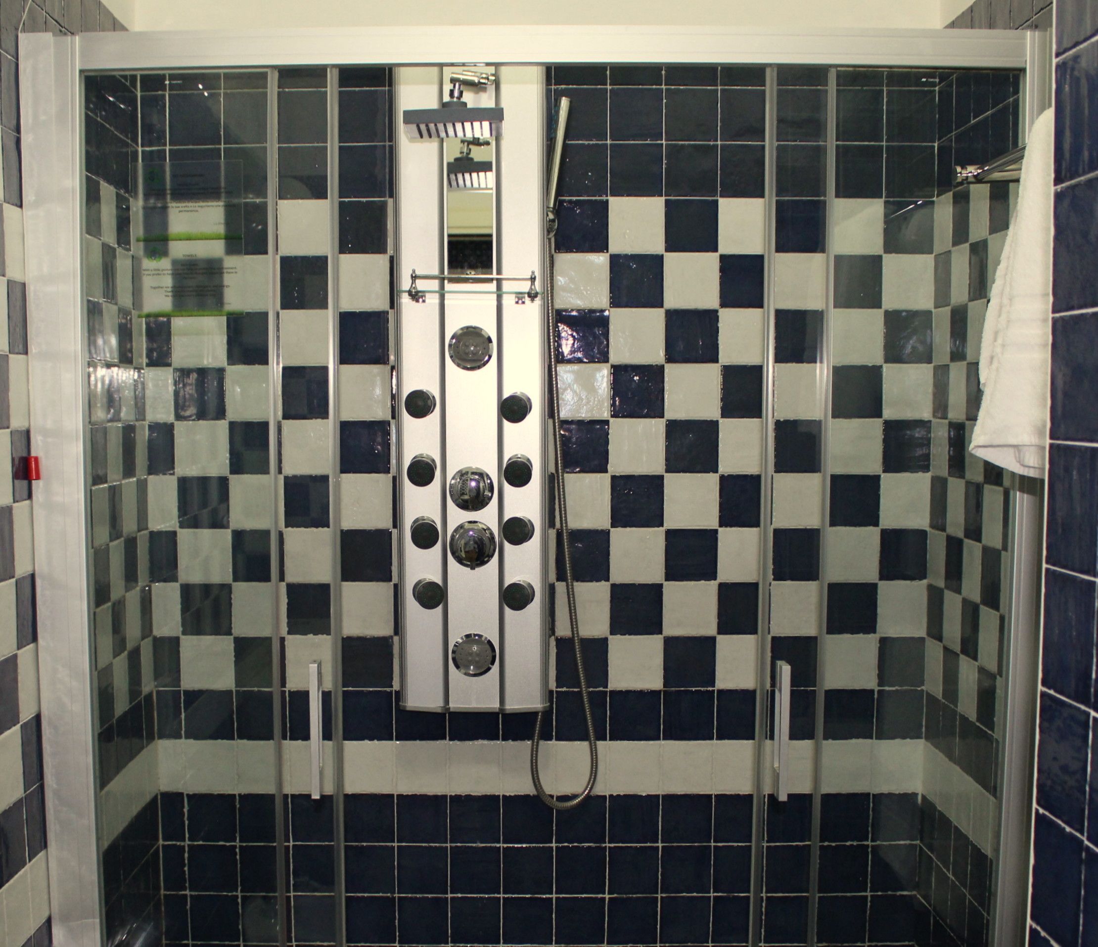 Une salle de bain avec un carrelage à motifs à carreaux, une pomme de douche et un porte-serviettes.