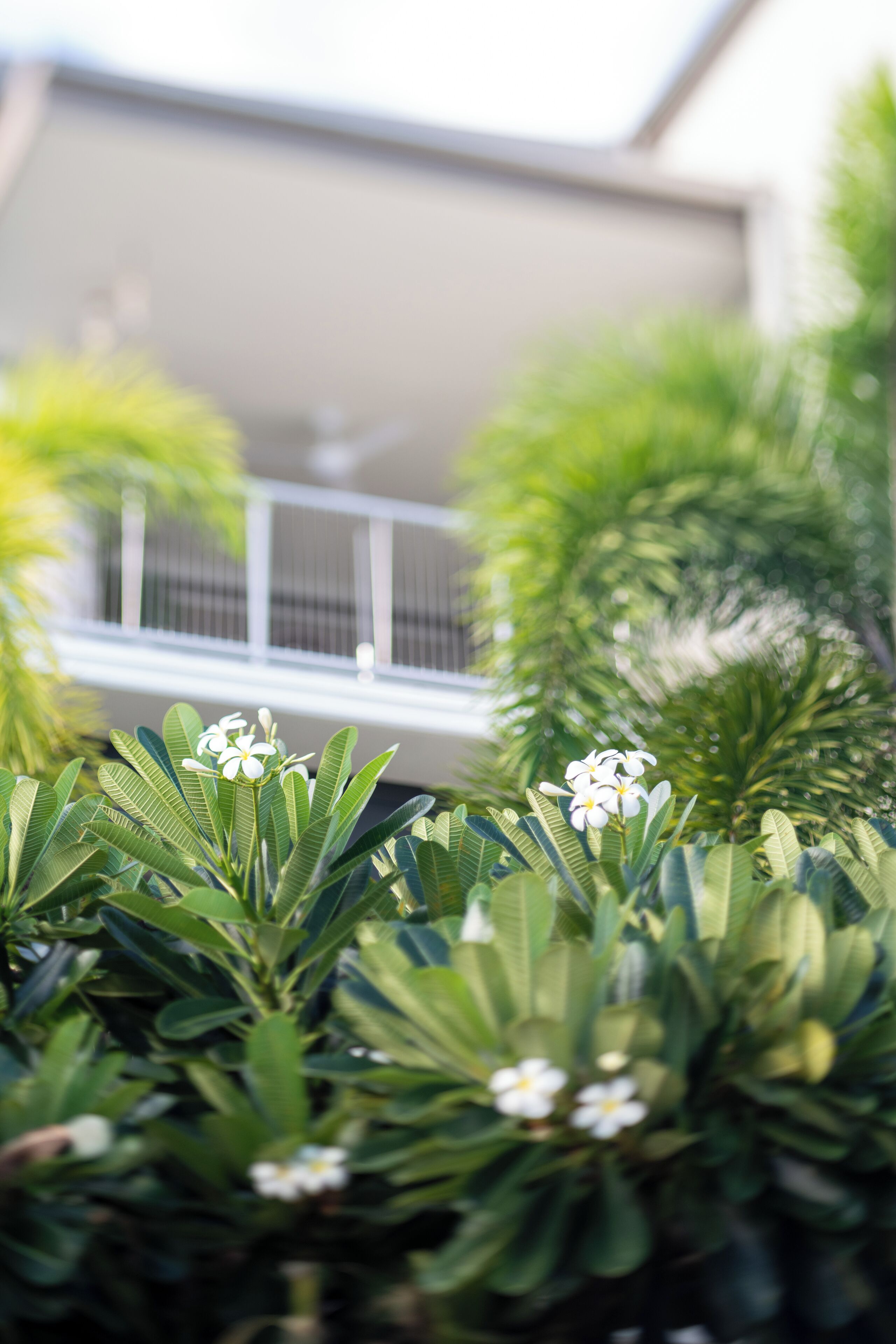 A building with a balcony and lush green foliage in the foreground.