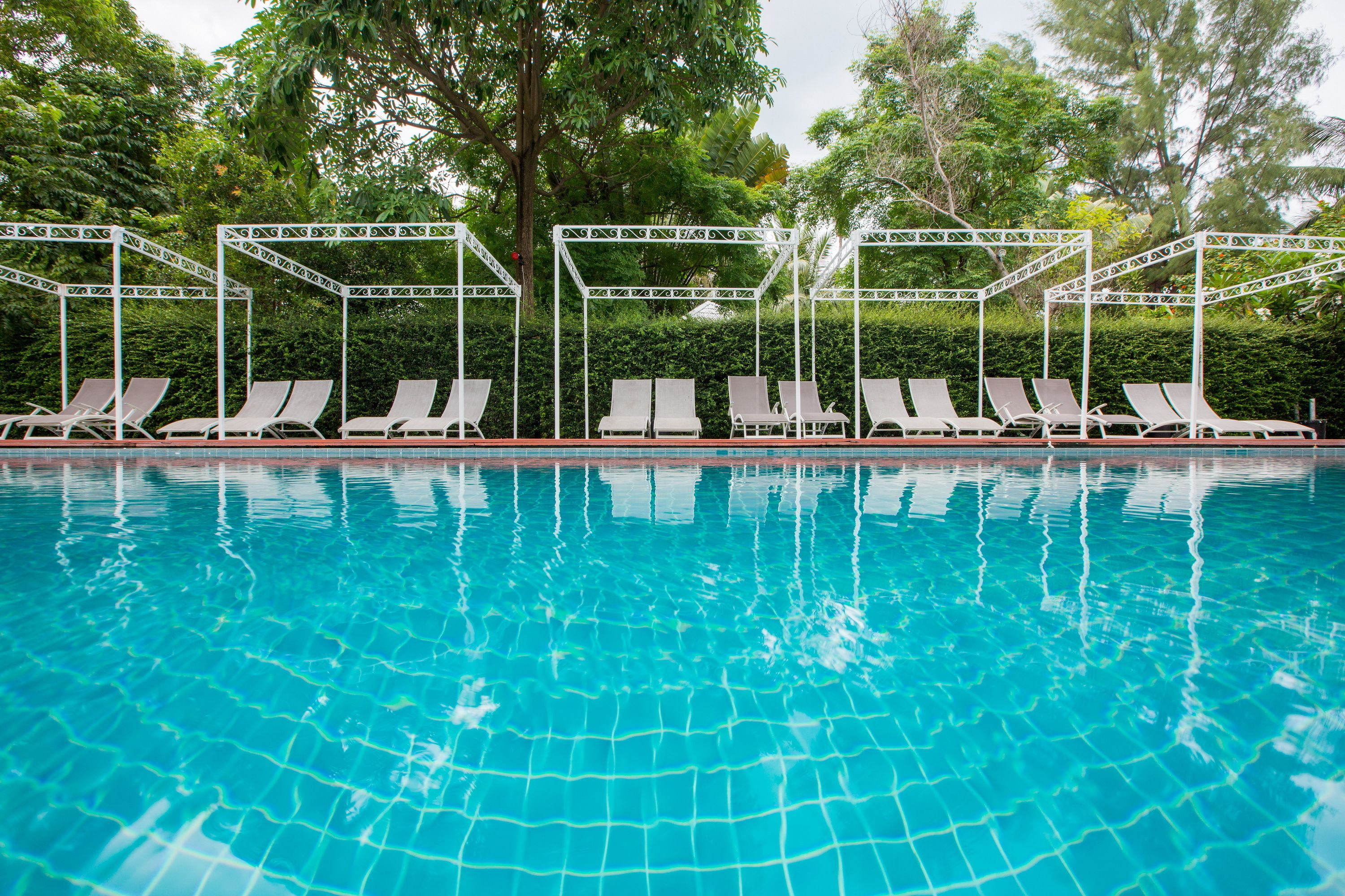 Kolam renang outdoor, dengan payung kolam renang dan kursi berjemur