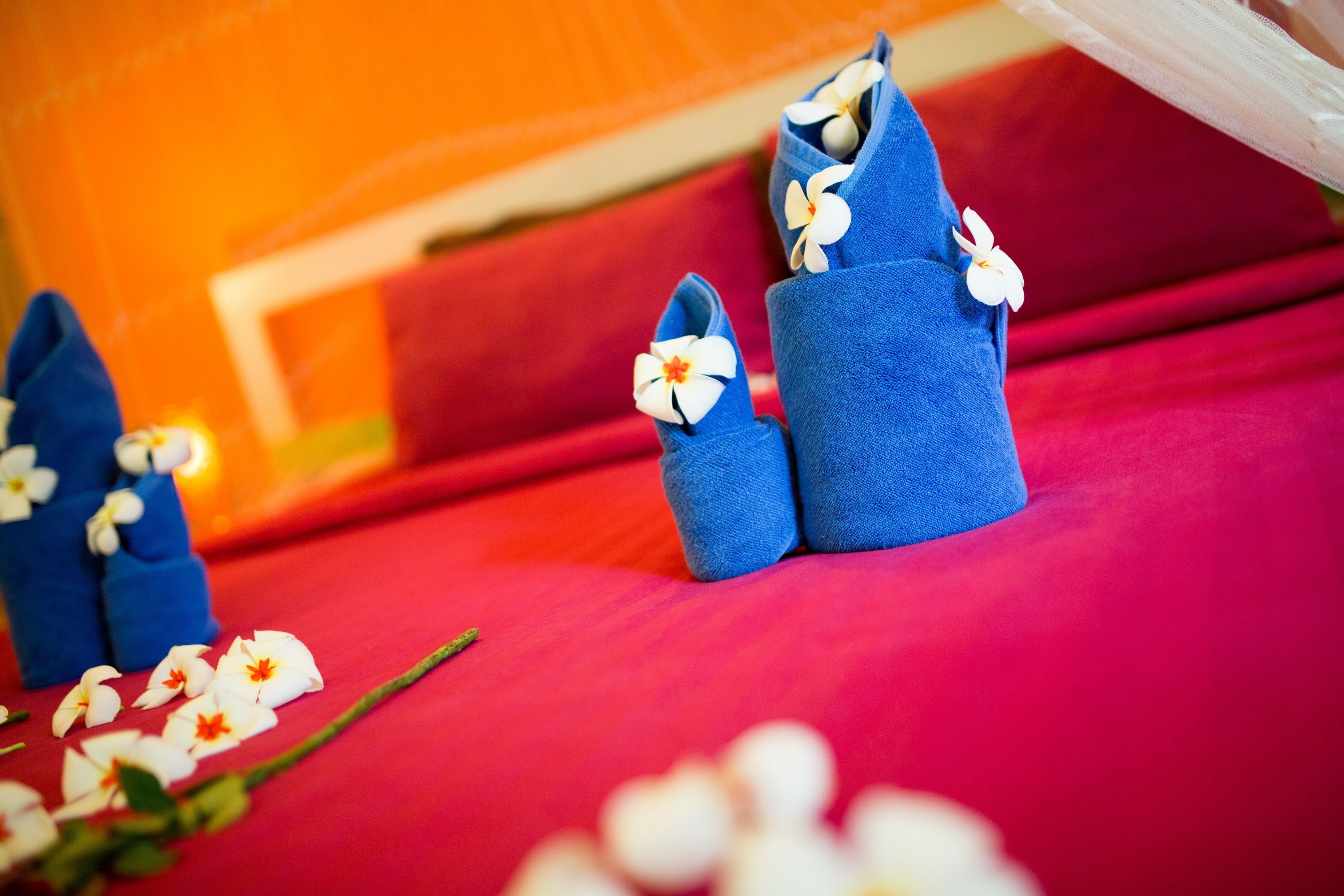 Photo - Da Kanda Villa Beach Resort