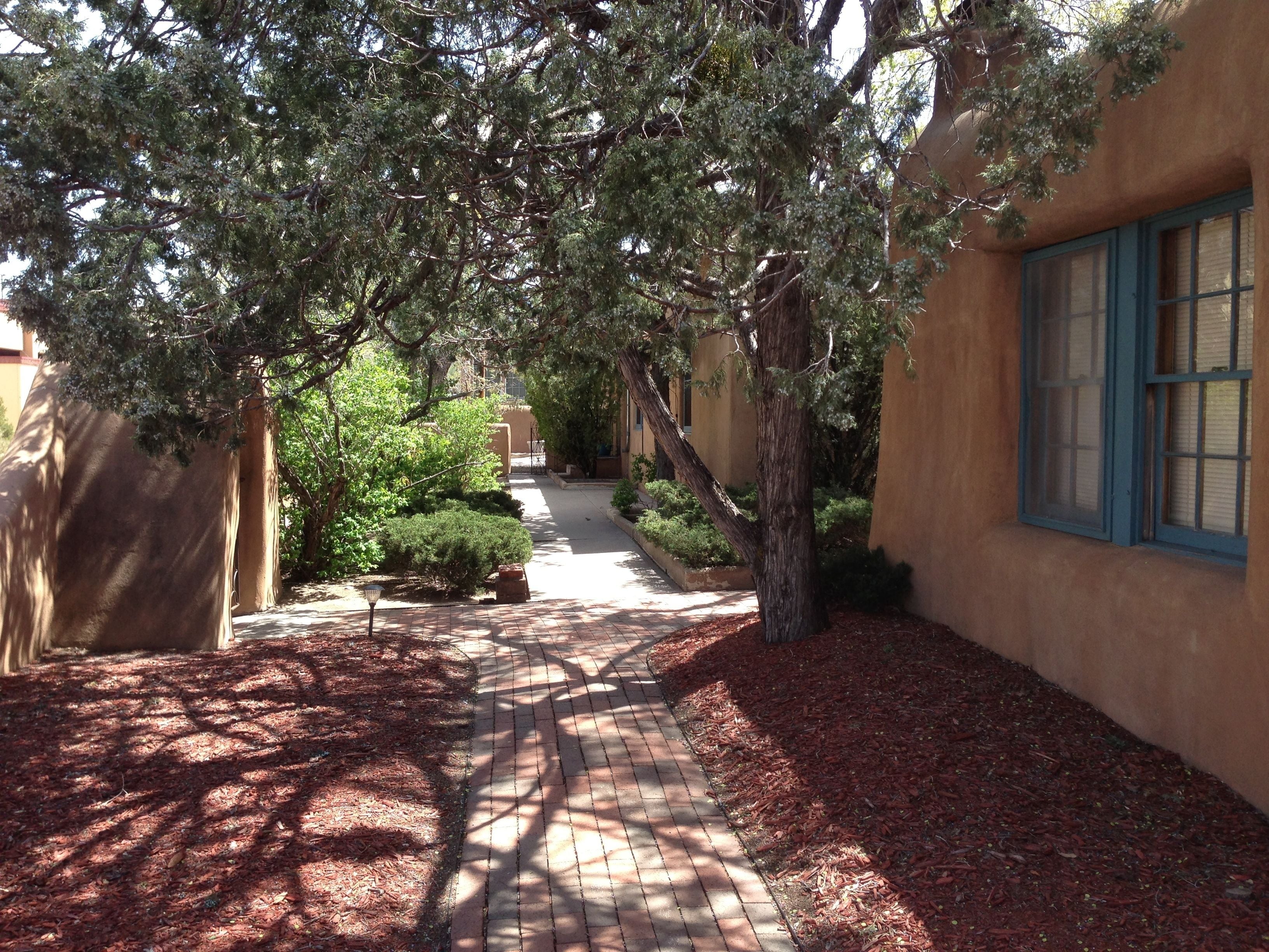 A pathway lined with trees and shrubs, leading to a building with a window.