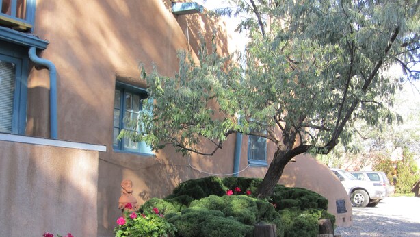 A building with a stucco exterior, a large tree, and potted plants with flowers. - Pueblo Bonito Inn (Santa Fe)