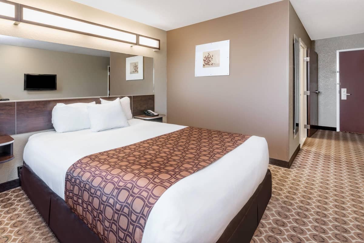 A hotel room with a large bed, a bedside table, a flat-screen TV, and a wall-mounted mirror.