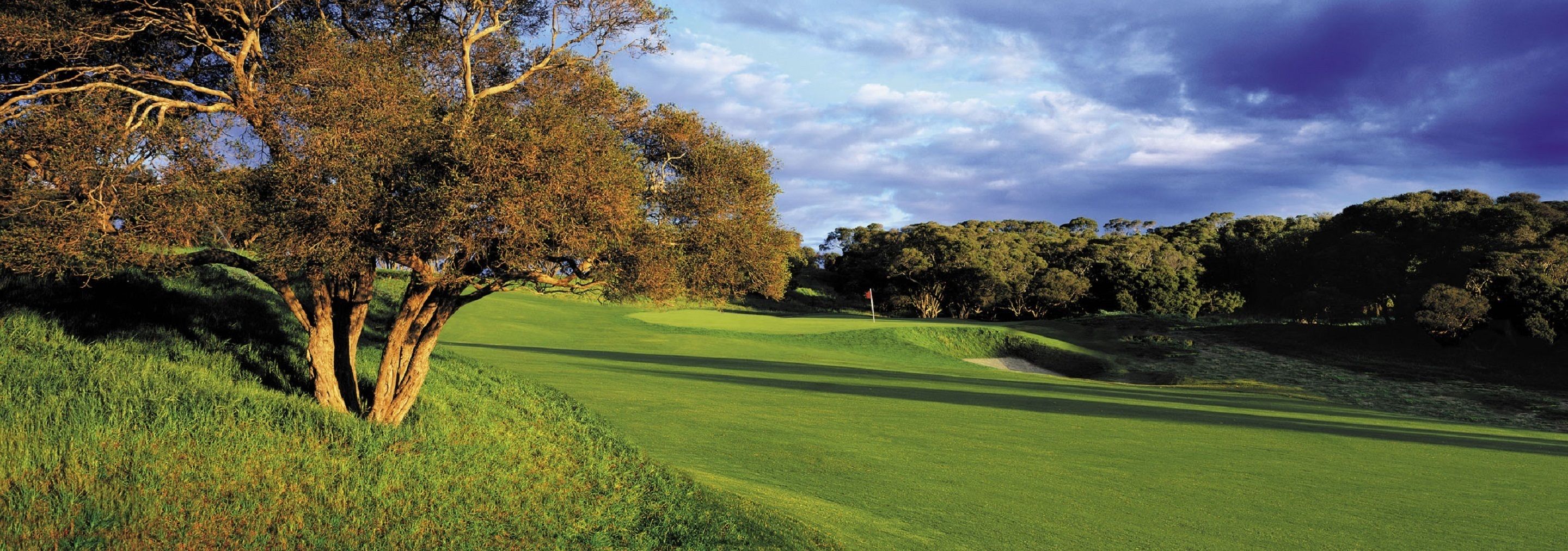 A golf course with a large tree in the foreground and a flag on the green.