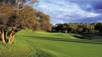 Campo de golf con un gran árbol en primer plano y una bandera en el green.