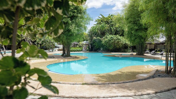 A swimming pool with a stone border, surrounded by trees and lounge chairs.