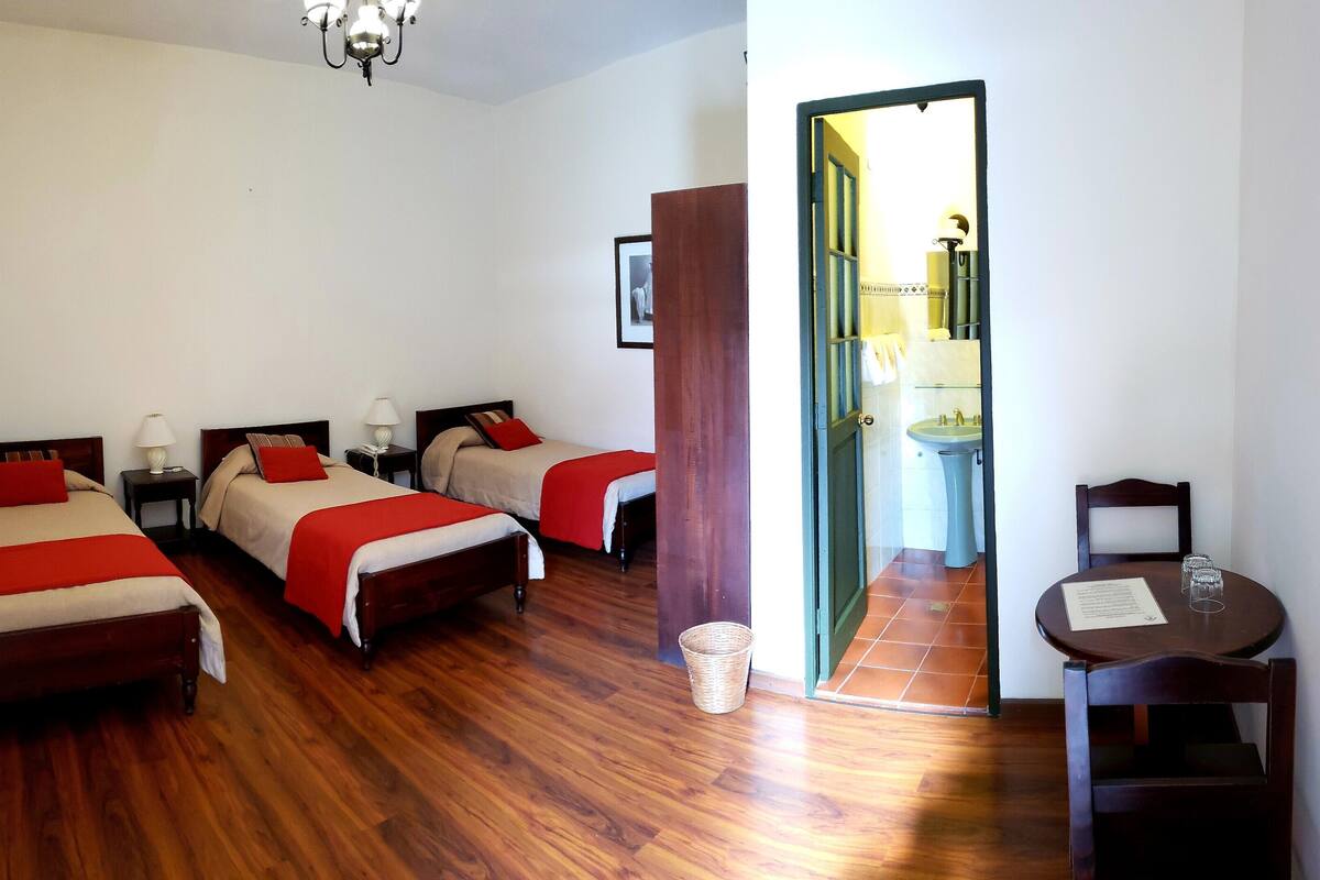 City Triple Room | 1 bedroom, premium bedding, individually decorated