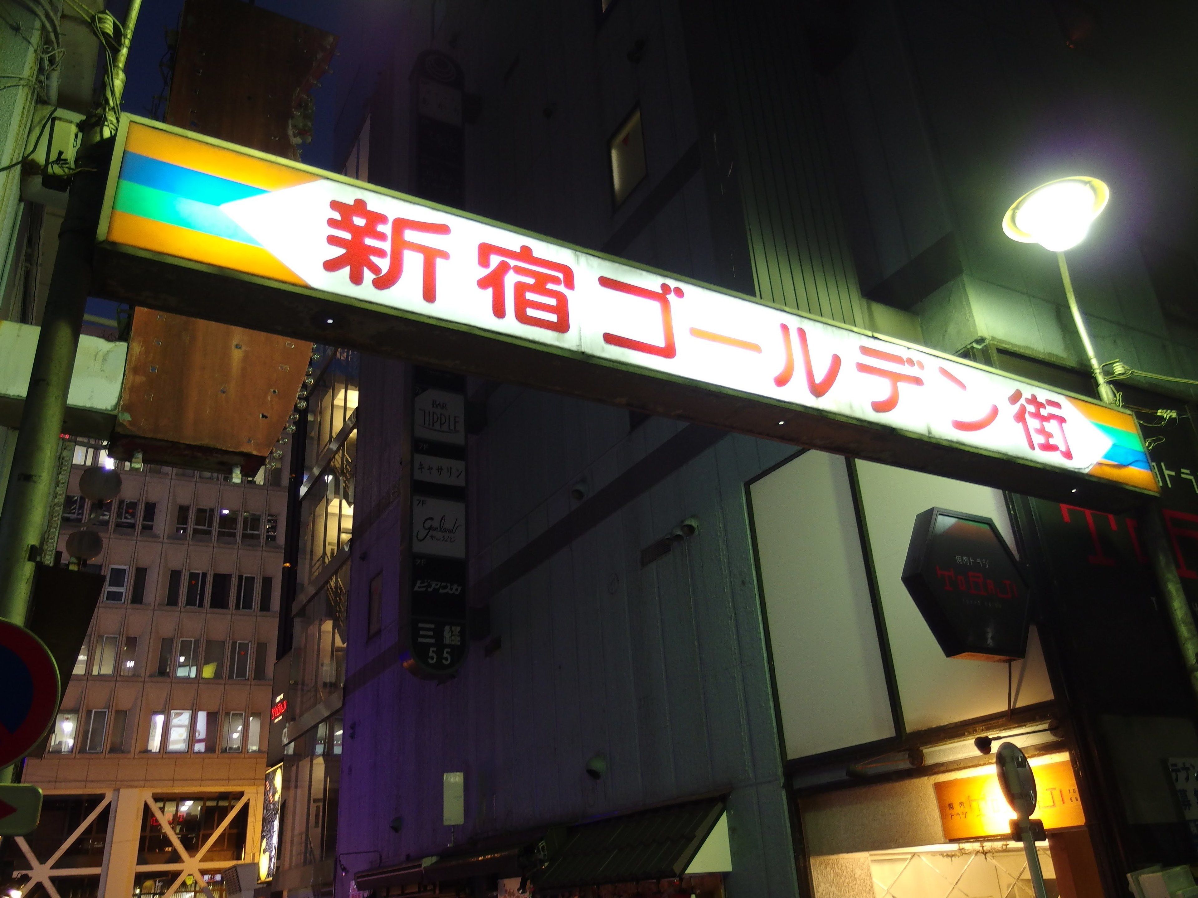 A sign for a hotel with a neon sign indicating its name and a street lamp nearby.