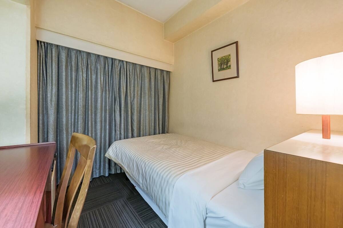 Habitación de hotel con una cama individual, una silla de madera, un escritorio, una lámpara y un cuadro en la pared.