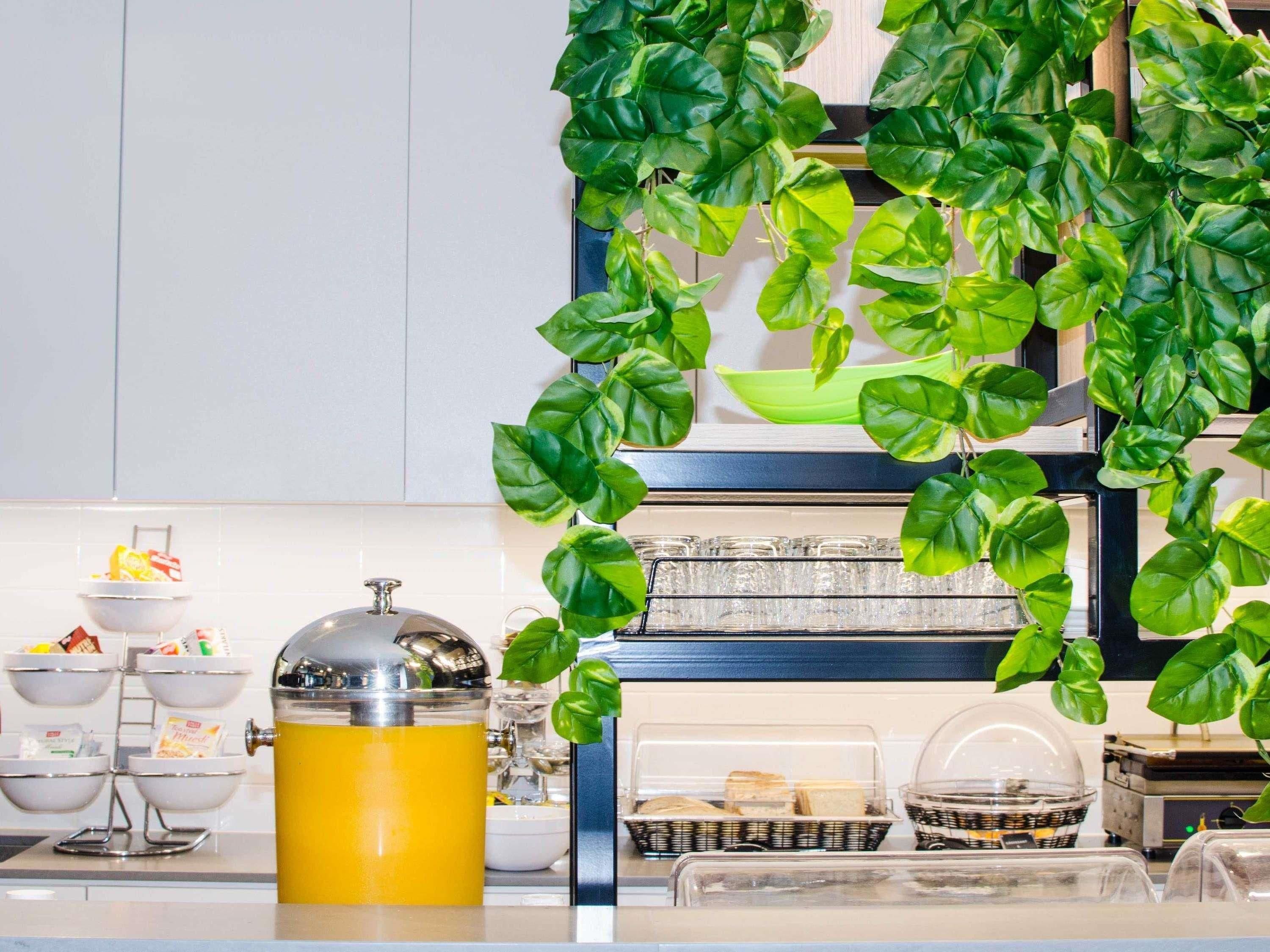 Una encimera de cocina con una cafetera, tazones y una planta colgante.