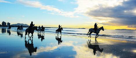 Une plage où l’on peut voir des chevaux et des cavaliers.