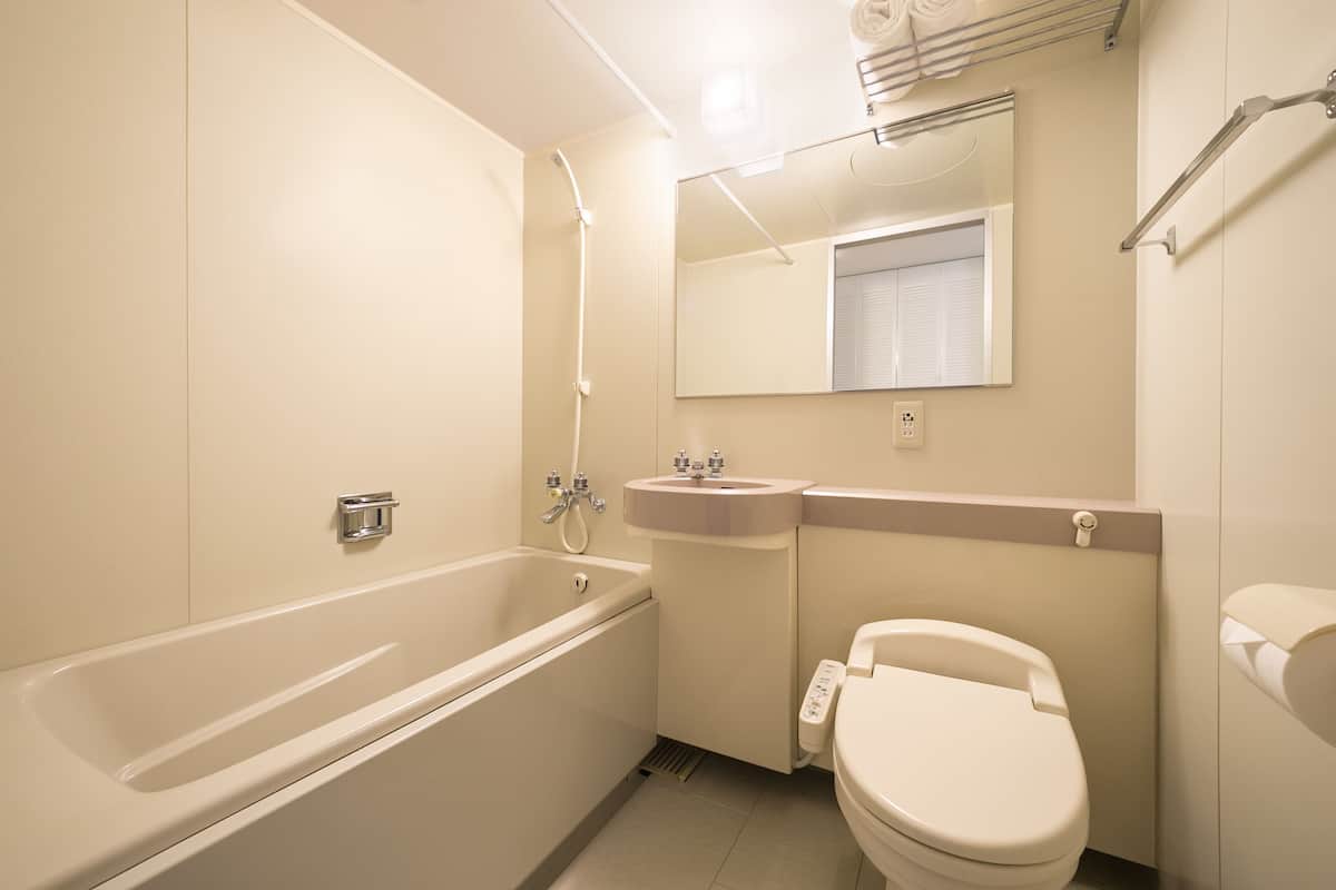 Combined shower/tub, free toiletries, hair dryer, slippers