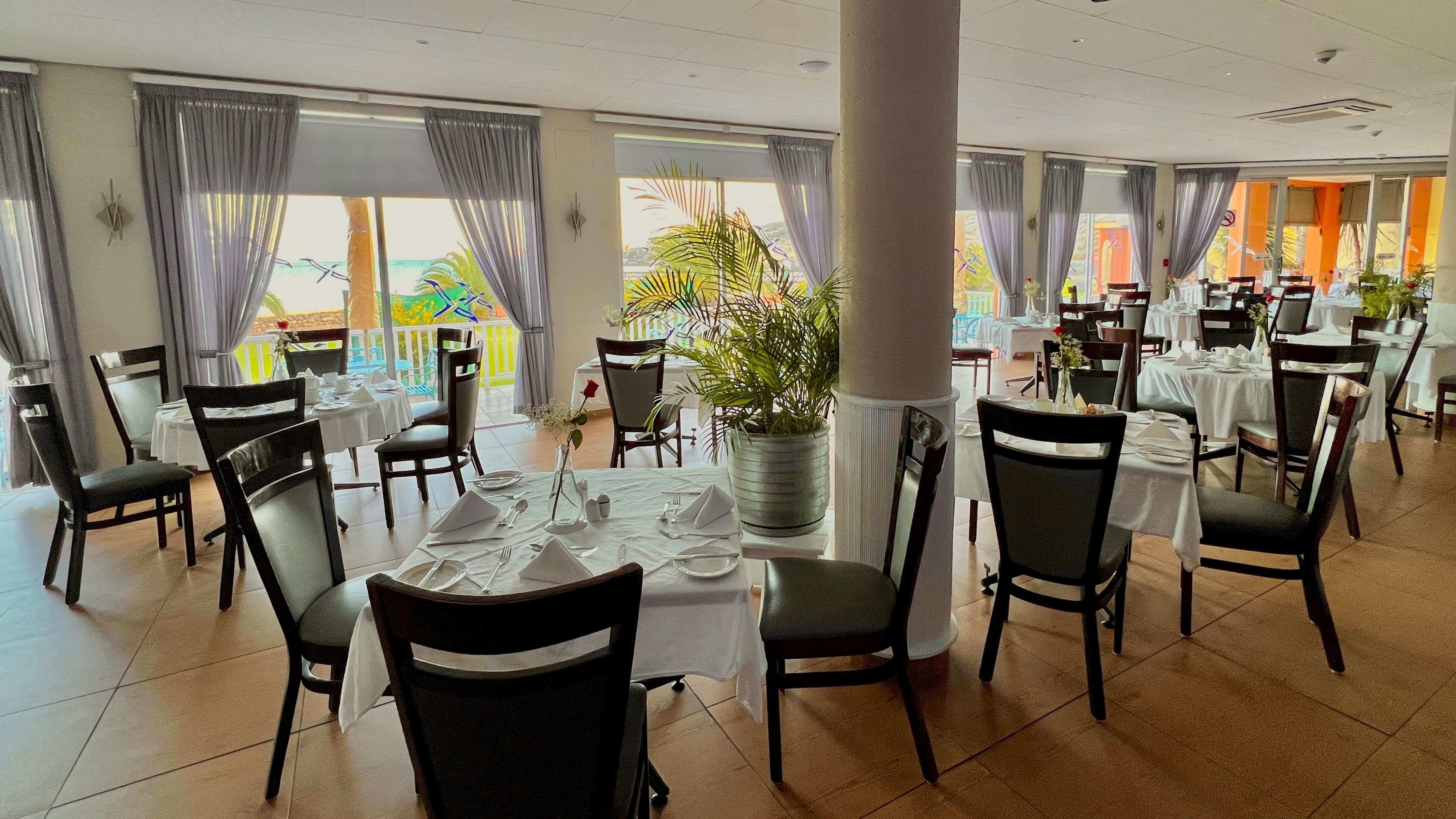 Ein Restaurant mit mehreren gedeckten Tischen, großen Fenstern mit Vorhängen und einer Zimmerpflanze in der Mitte.