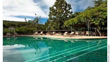 Outdoor pool, sun loungers