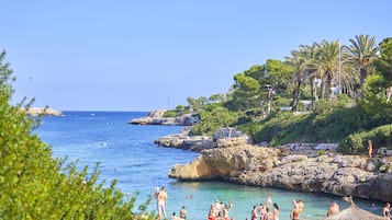 Plage à proximité, plongée sous-marine