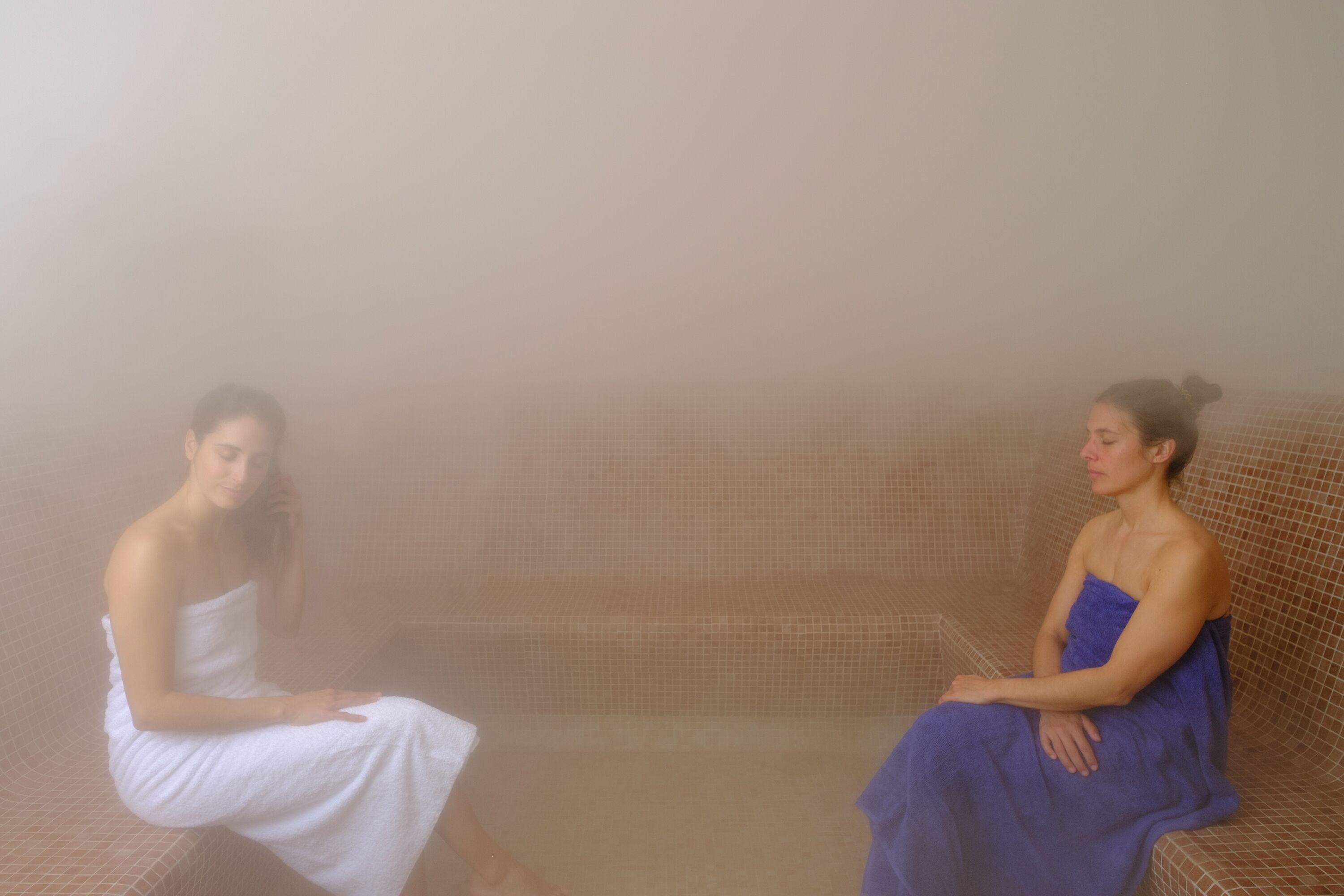 Sauna, bain à remous, sources chaudes/minérales, massages