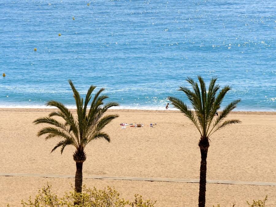 Vue sur la plage/l’océan