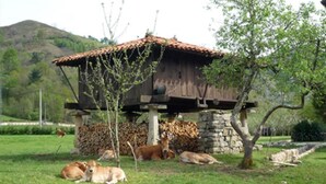 Unclassified image, 2 of 53, button - Hotel Rural Sucuevas - Adults Only (Cangas de Onis)