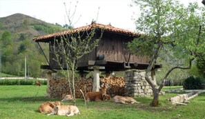 Property amenity - Hotel Rural Sucuevas - Adults Only (Cangas de Onis)
