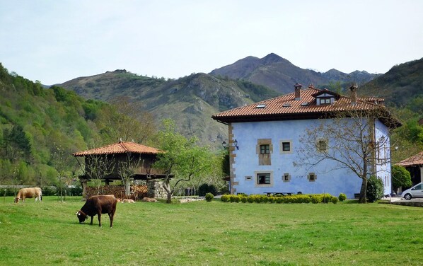 Front of property - Hotel Rural Sucuevas - Adults Only (Cangas de Onis)