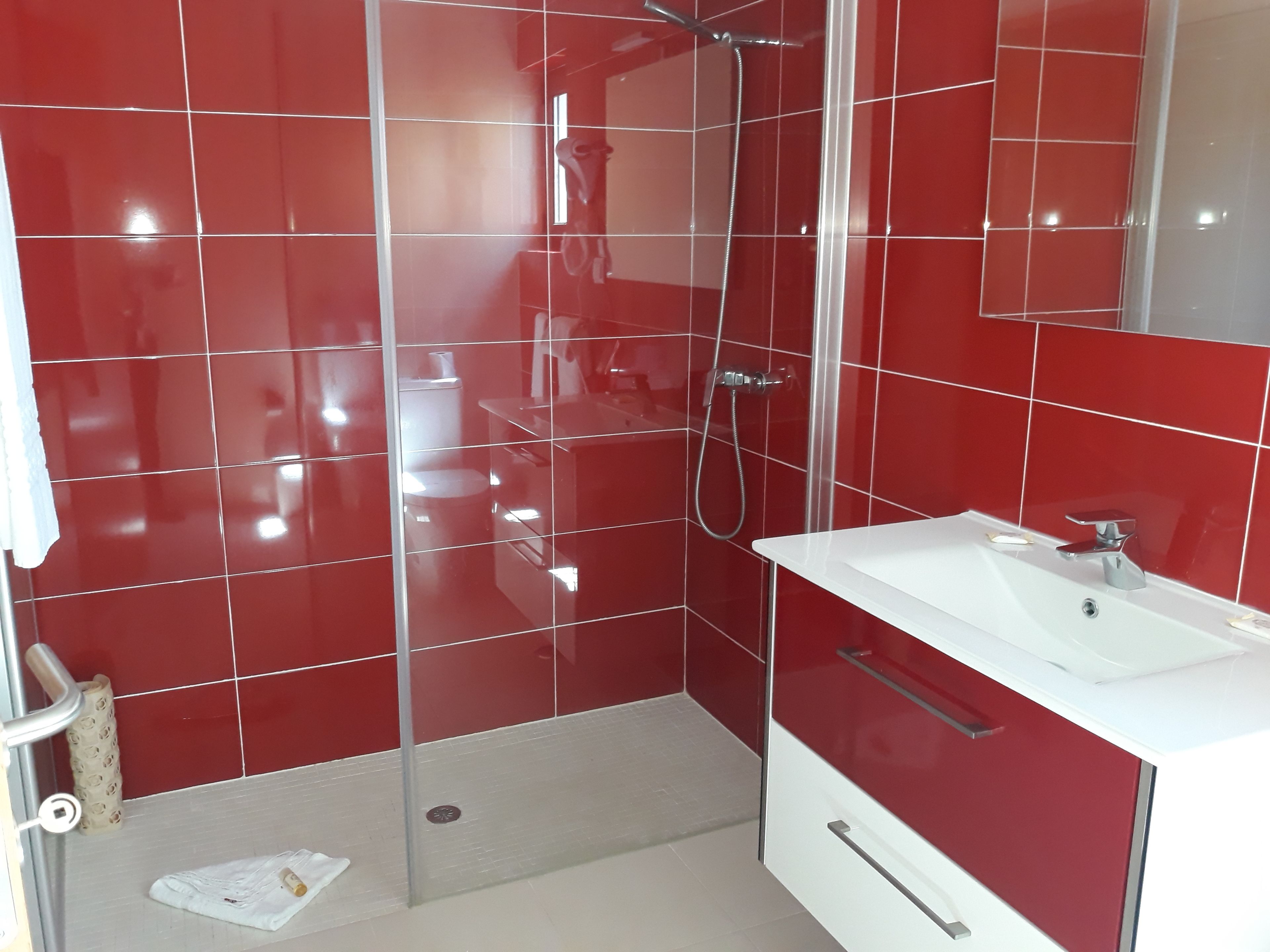 A modern bathroom with red tiles, a glass shower enclosure, a white sink, and a mirror.