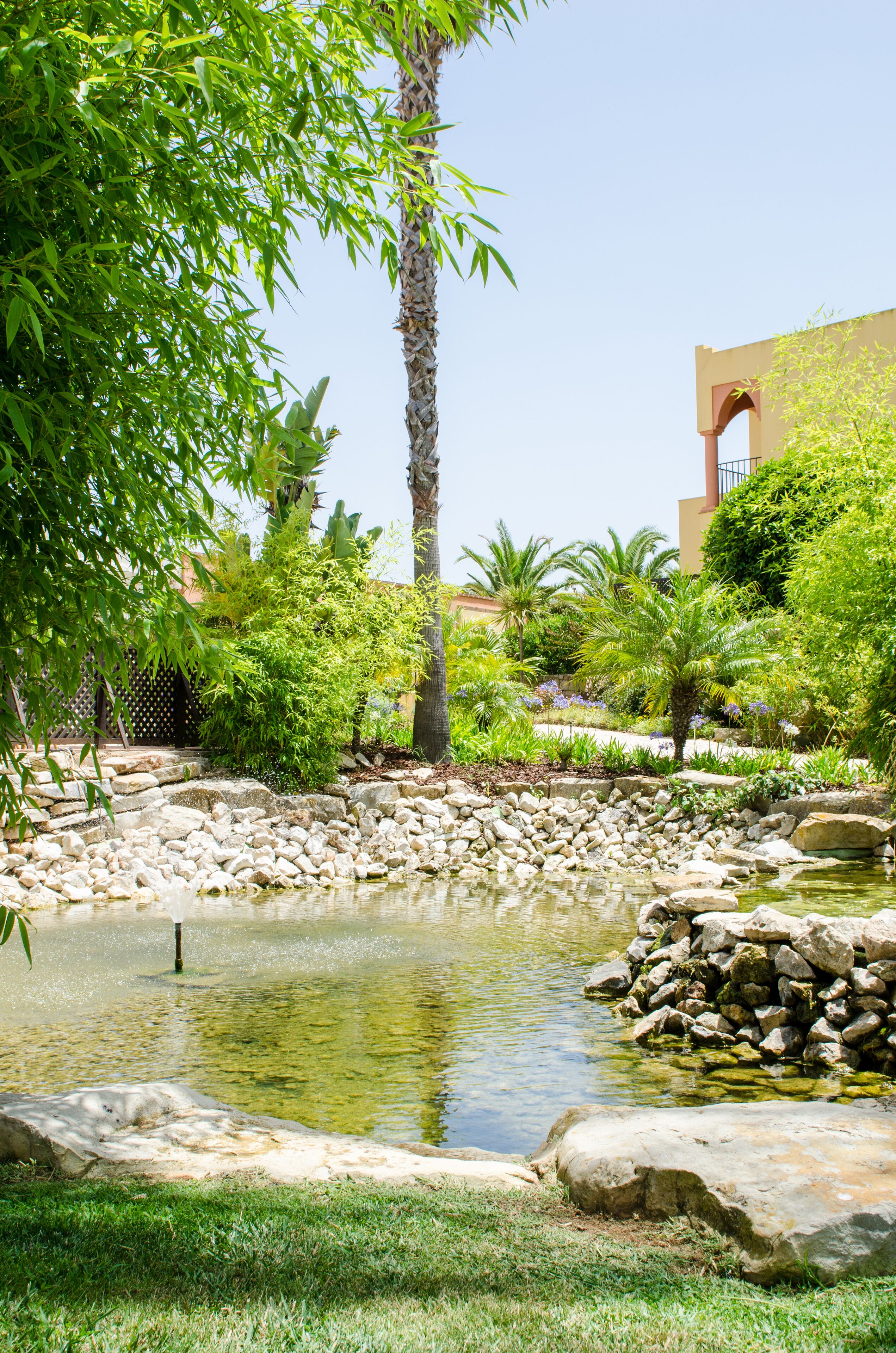 A garden with a pond, palm trees, and a building with an arched entrance.