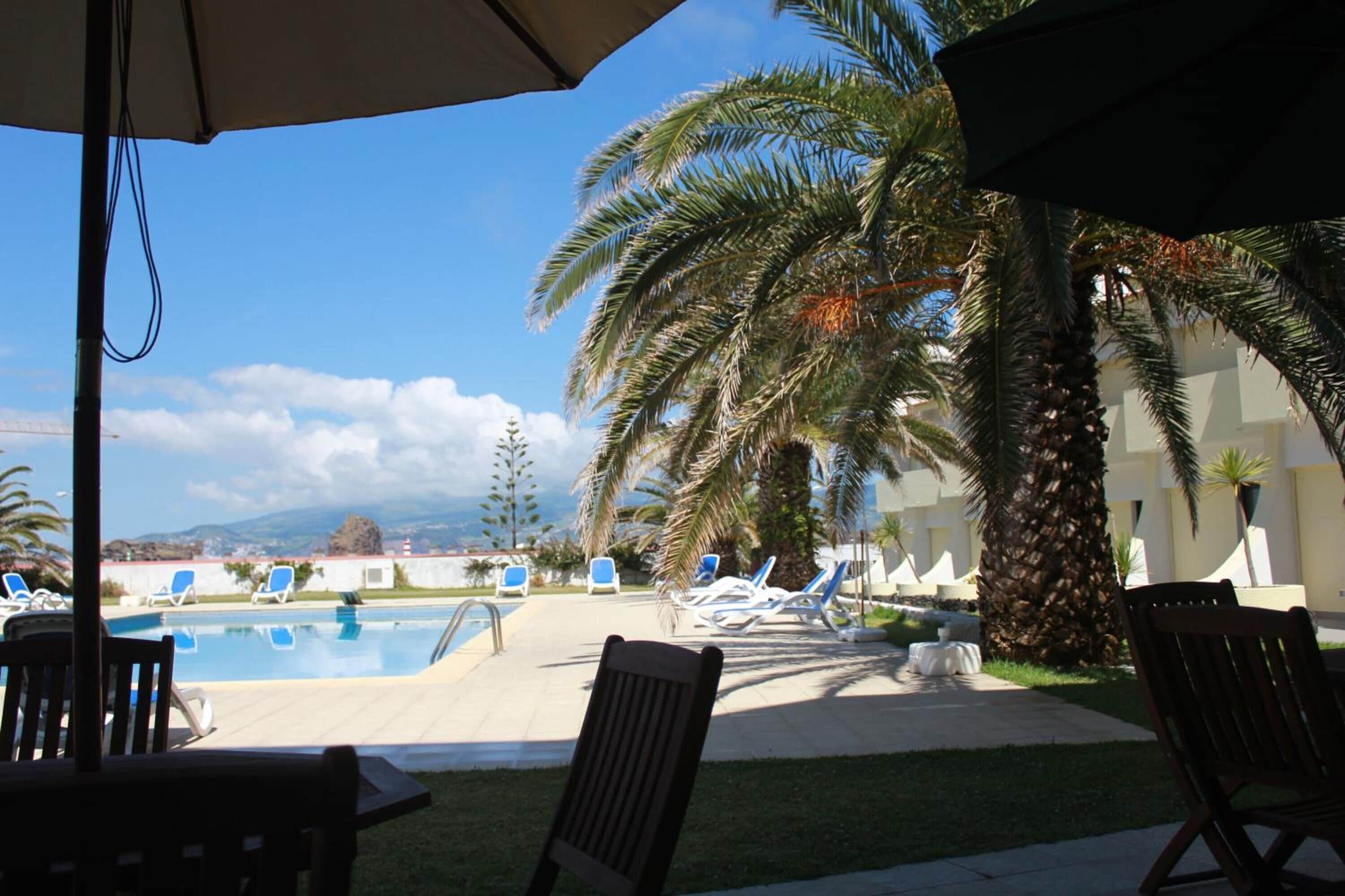 Zona de piscina con sillas de descanso y sombrillas, palmeras y vista al océano.