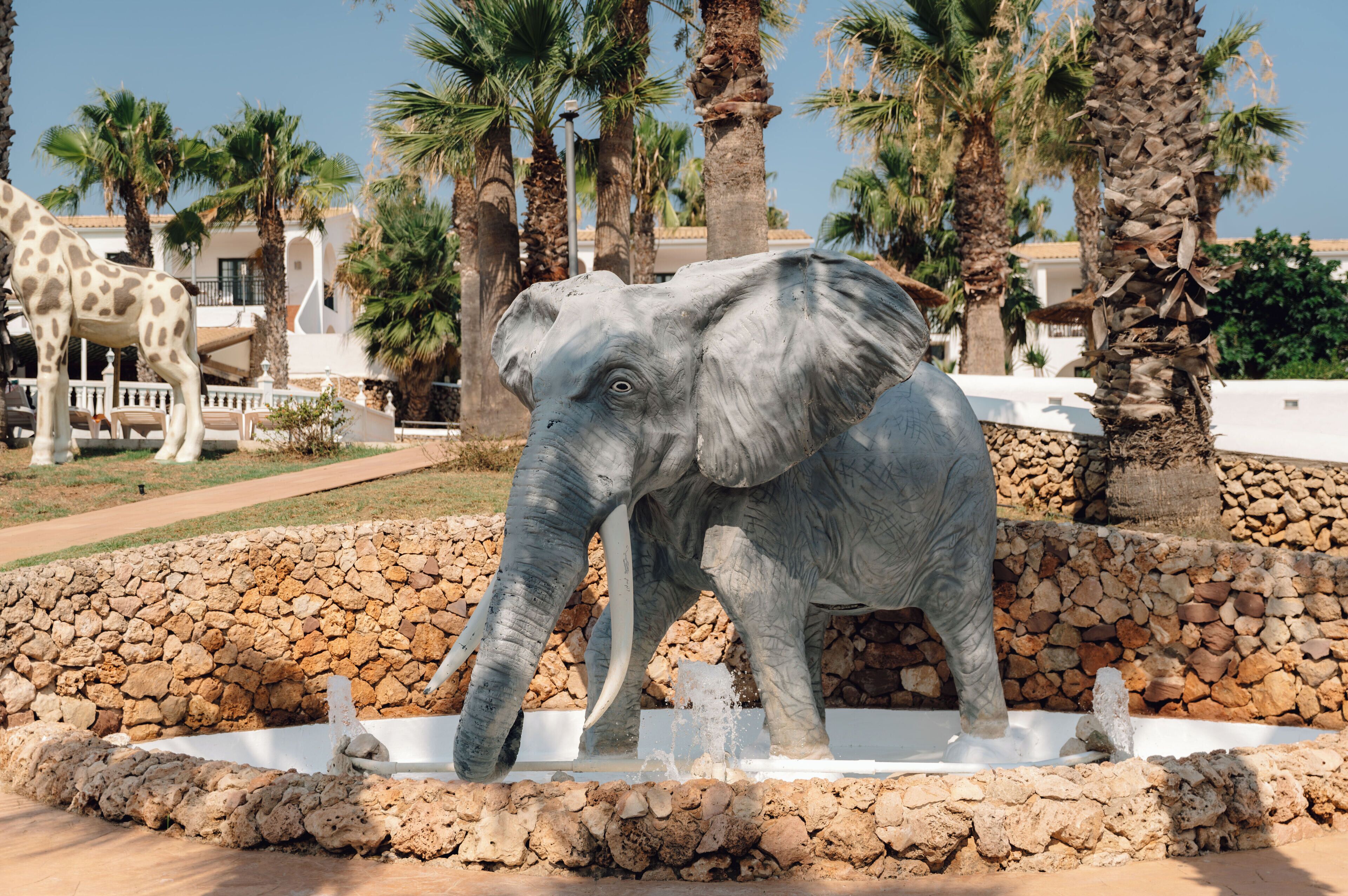 Foto - Hotel Moon Dreams Marina Parc