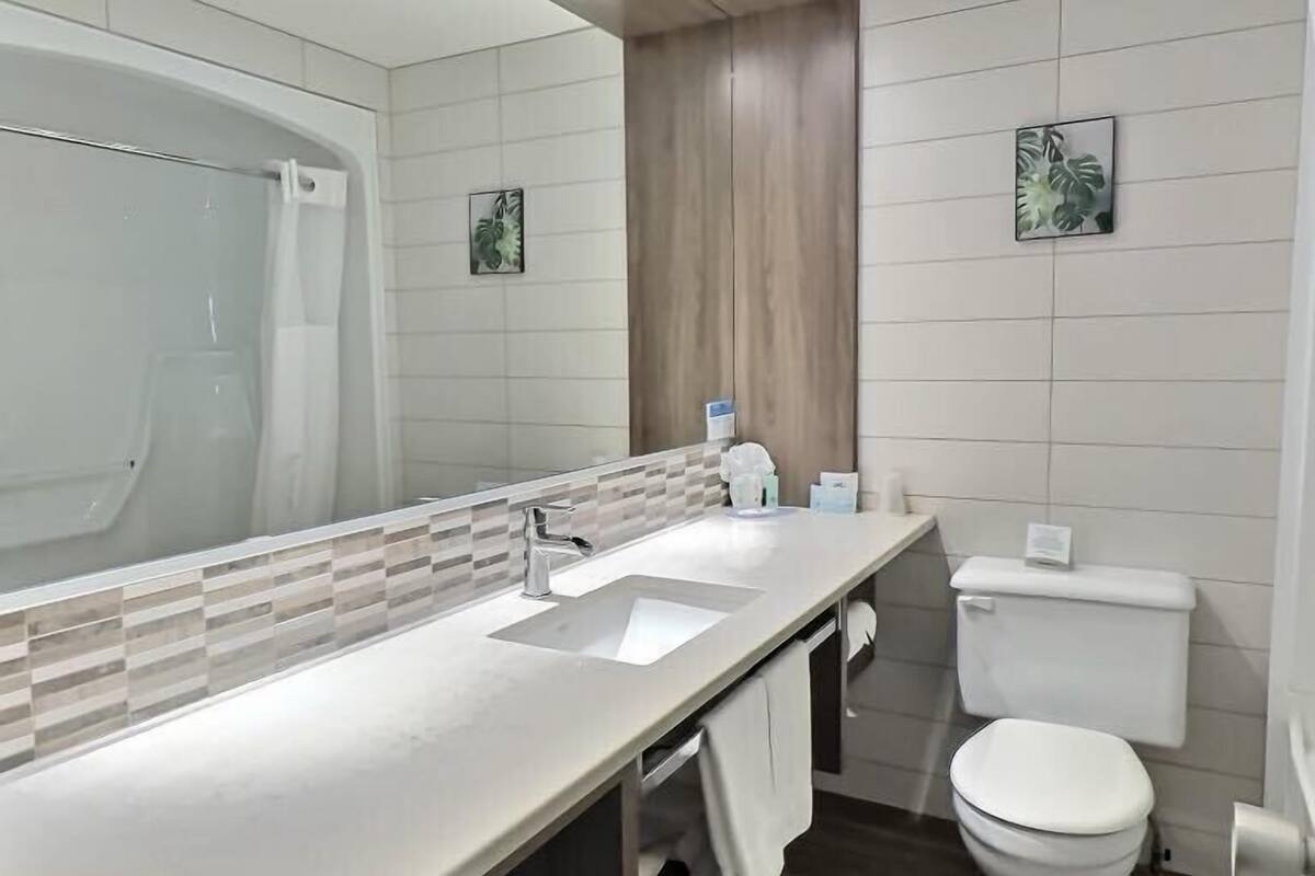 combined shower/bathtub, free toiletries, hair dryer, towels