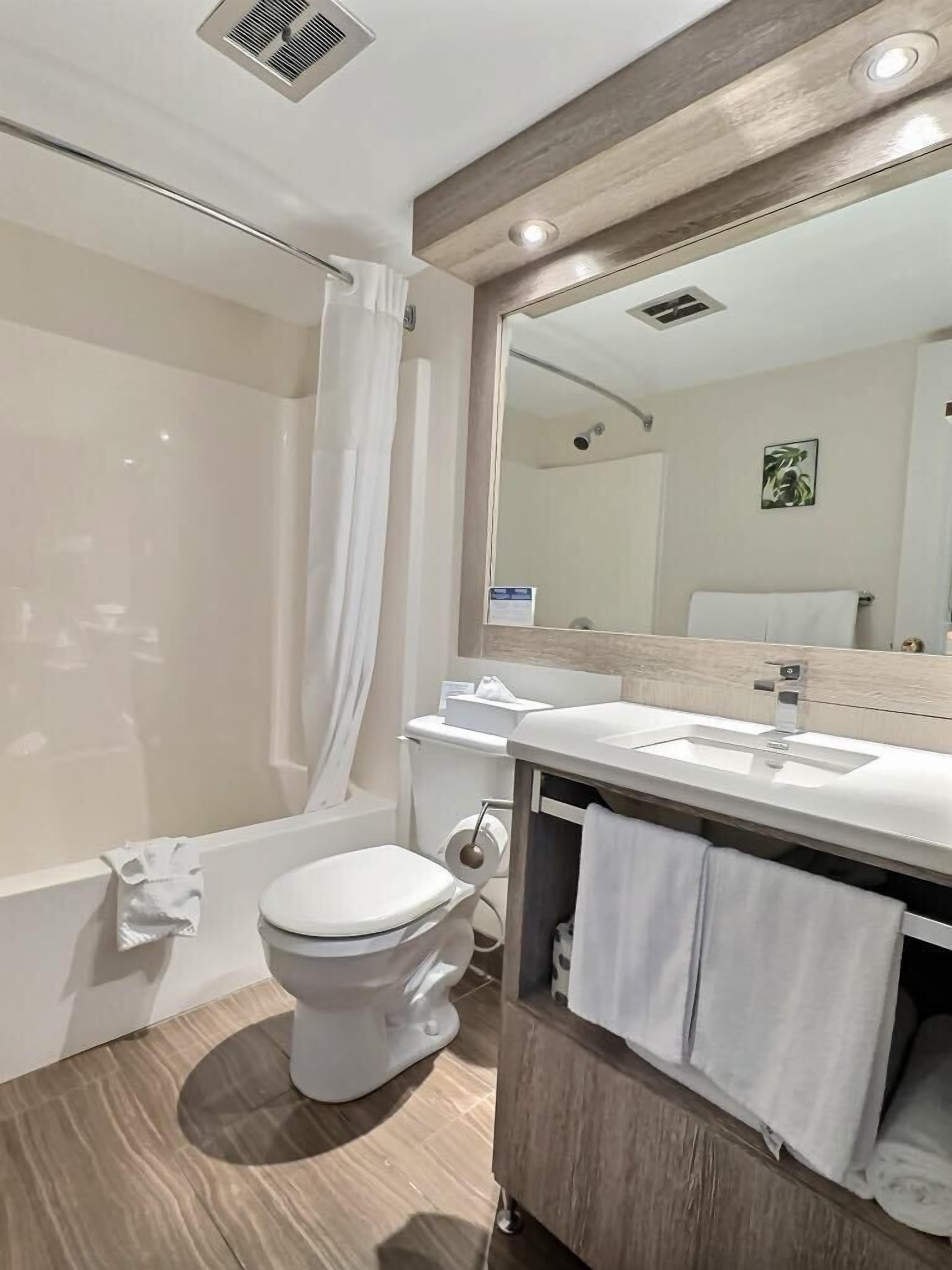 combined shower/bathtub, free toiletries, hair dryer, towels