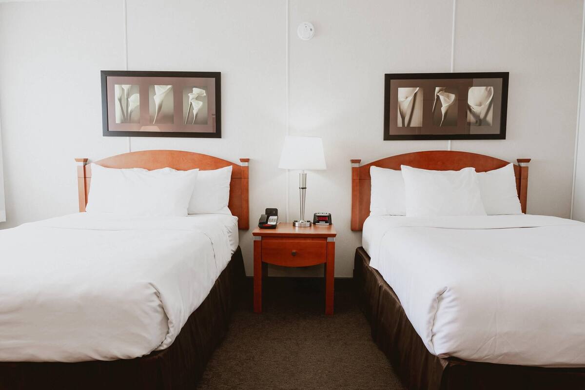 Una habitación de hotel con dos camas individuales, una mesita de noche con lámpara, teléfono y cuadros en la pared.