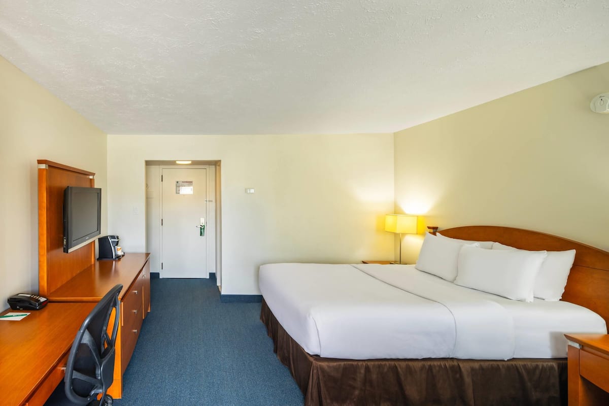 Standard Room, 1 Queen Bed, Non Smoking | Premium bedding, desk, blackout curtains, soundproofing