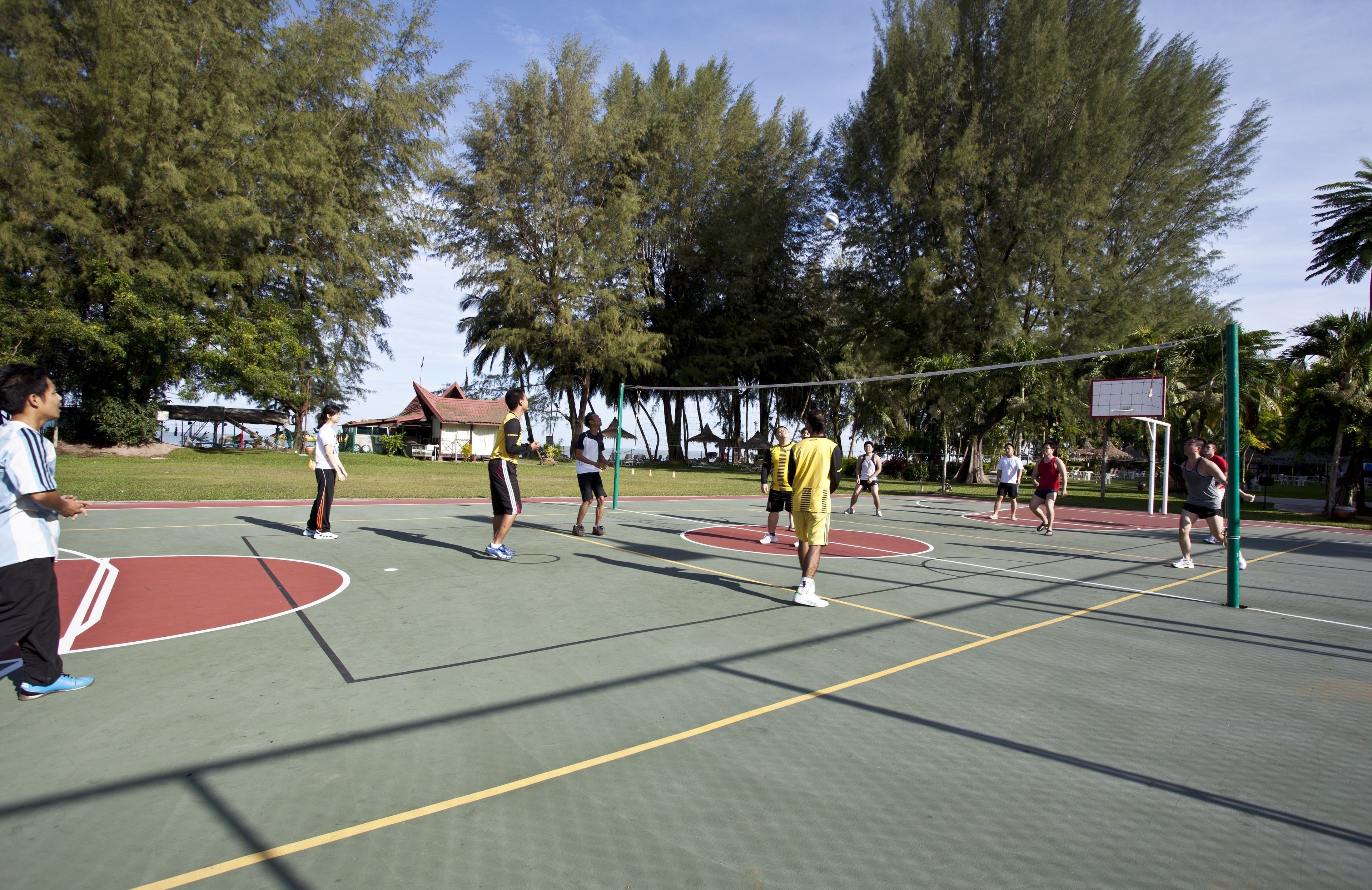 Ein Basketballplatz im Freien mit mehreren Spielern, umgeben von Bäumen und einem Gebäude im Hintergrund.